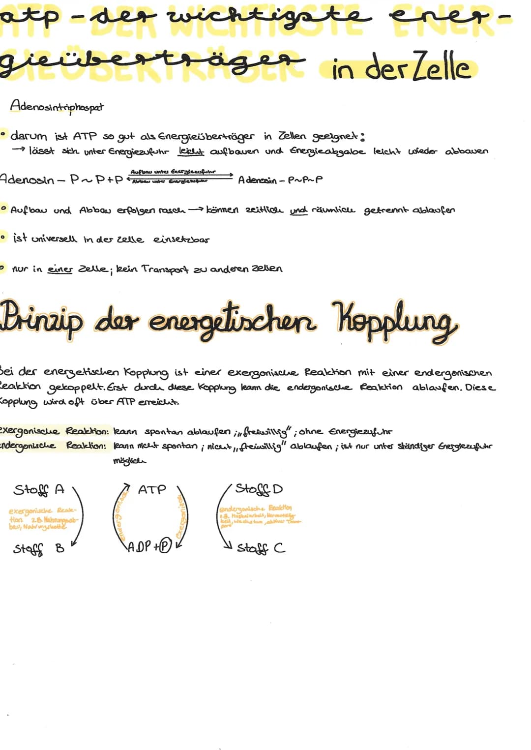 # atp-der wichtigste ener-
gieüberträger in der Zelle

Adenosintriphospat

• darum ist ATP so gut als Energieüberträger in Zellen geeignet:
