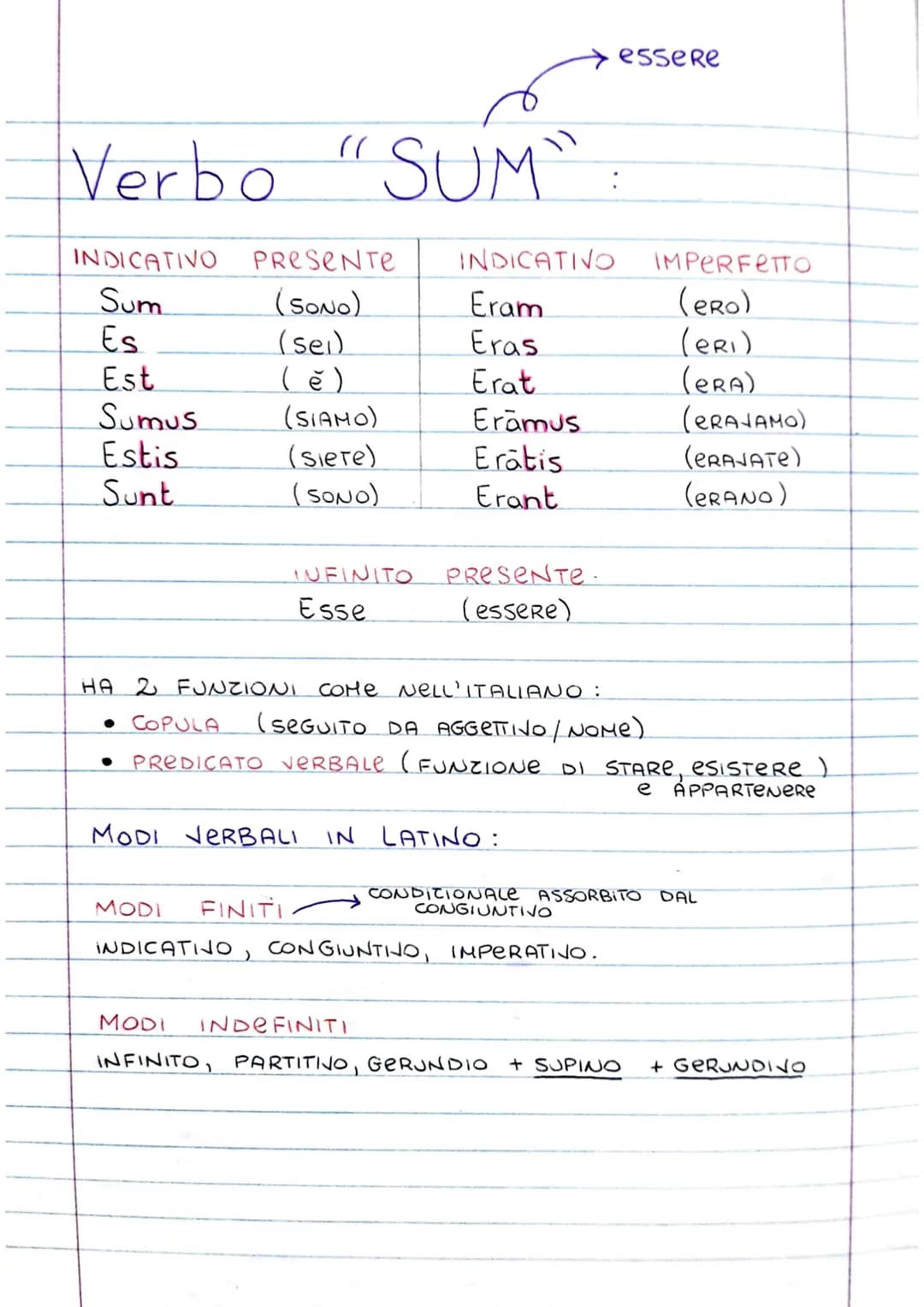 Verbo "SUM":

essere

INDICATIVO PRESENTE INDICATIVO IMPERFETTO
Sum (SONO) Eram (ero)
Es (sei) Eras (ERI)
Est (ě) Erat (ERA)
Sumus (SIAMO) E