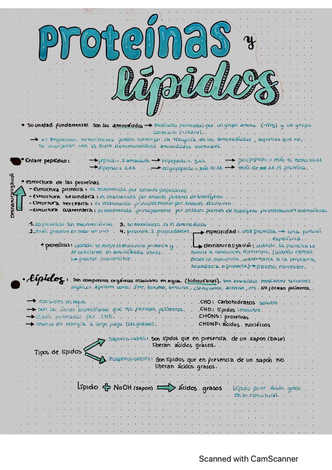 # Proteínas

lipides

- Su unidad fundamental son los aminoácidos → moléculas formadas por un grupo amine (-Ni₂) y un grupo
Carboxilo (c0014
