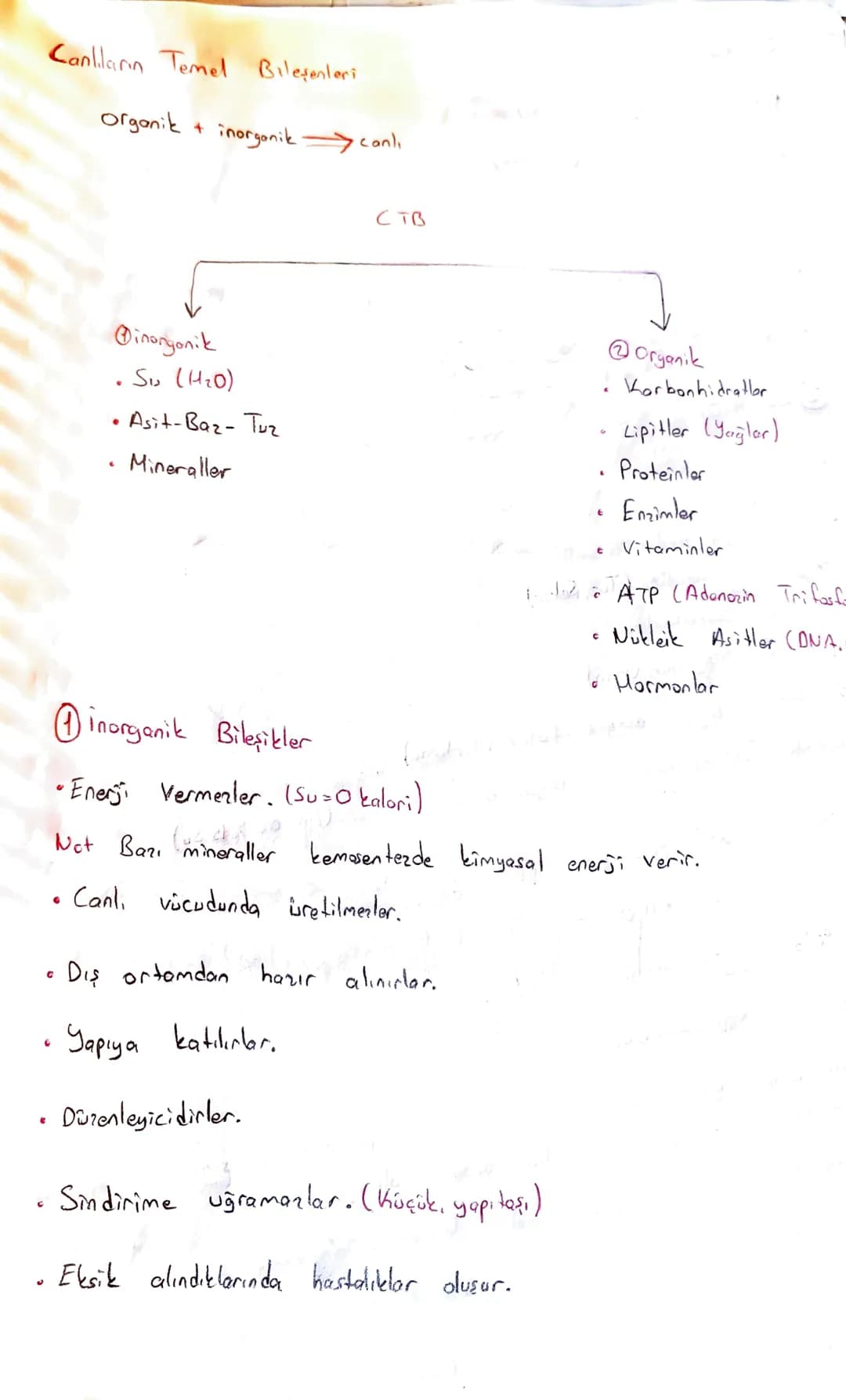Canlıların Temel Bileşenleri

Organik + inorganik canlı

@inongonik
• Sis (H2O)
• Asit-Baz-Tuz
Mineraller

CTB

Organik
Karbonhidratlor
Lipi