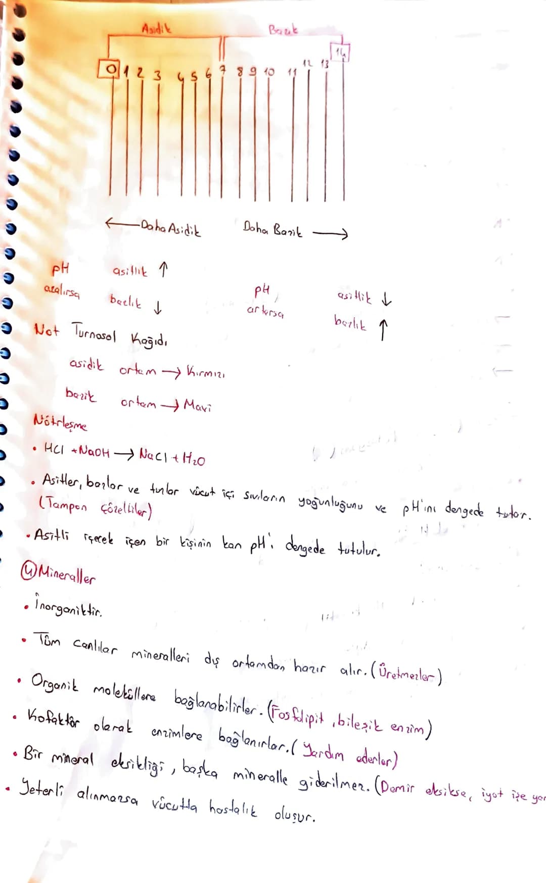 Canlıların Temel Bileşenleri

Organik + inorganik canlı

@inongonik
• Sis (H2O)
• Asit-Baz-Tuz
Mineraller

CTB

Organik
Karbonhidratlor
Lipi