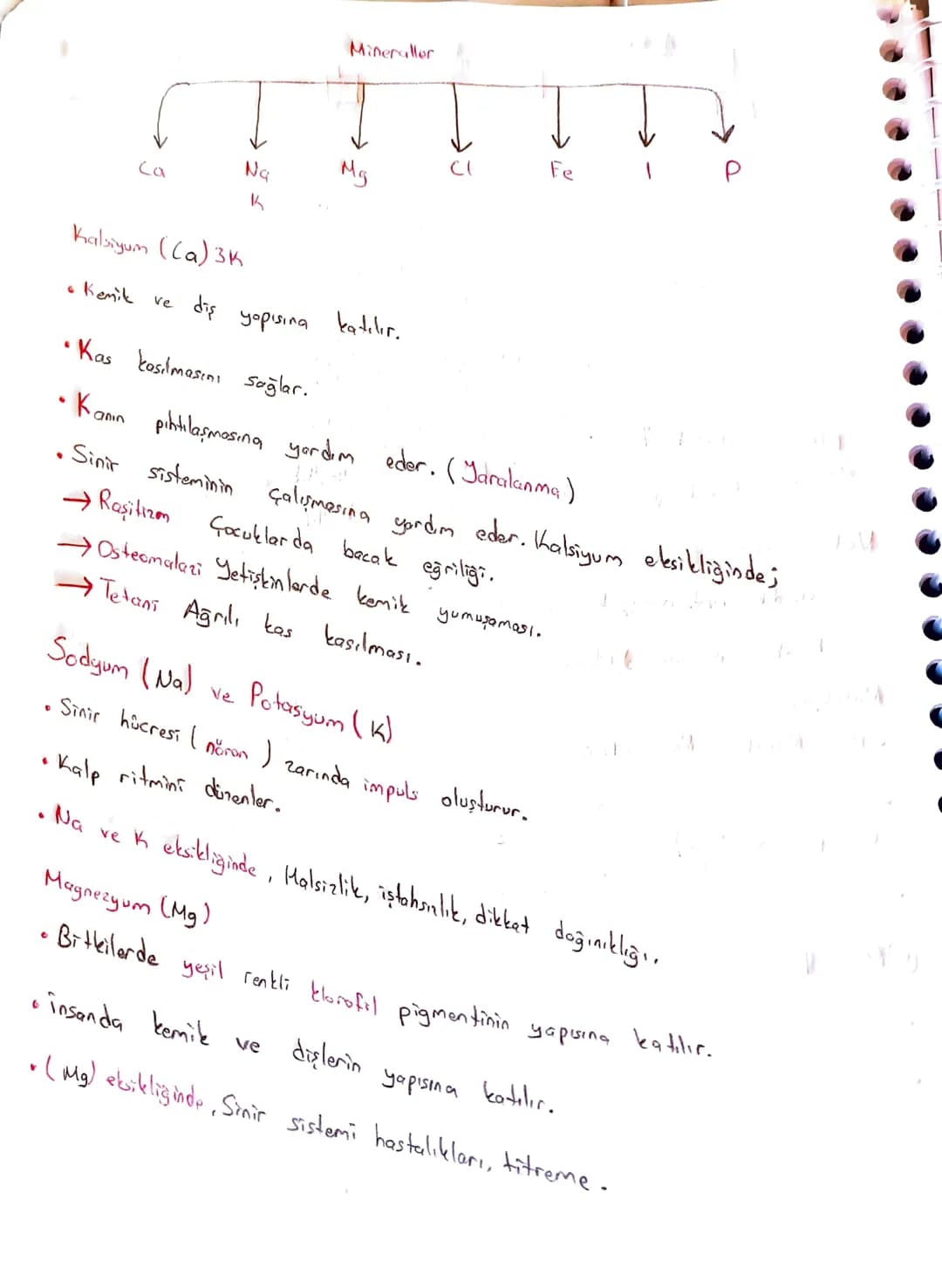 Canlıların Temel Bileşenleri

Organik + inorganik canlı

@inongonik
• Sis (H2O)
• Asit-Baz-Tuz
Mineraller

CTB

Organik
Karbonhidratlor
Lipi