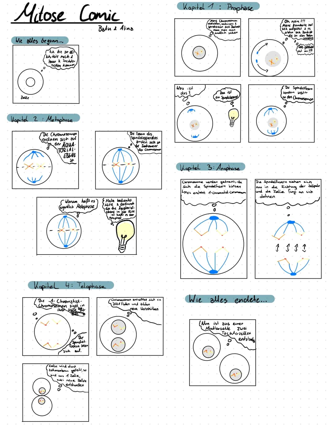 # Mitose Comic

Wie alles begann...

Ich bin so alt
Ichteile mich d
lease 2 Tochter
zellen kommeny

Batu & Alina

Kapitel 1: Prophase

Spira