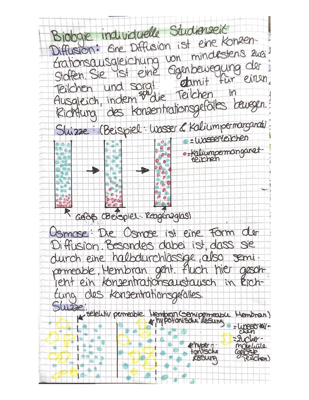 Biobgie individuelle Studienzeit
Diffusion: Eine Diffusion ist eine Konzen-
trationsausgleichung von mindestens zwei!
Stoffen. Sie ist eine 