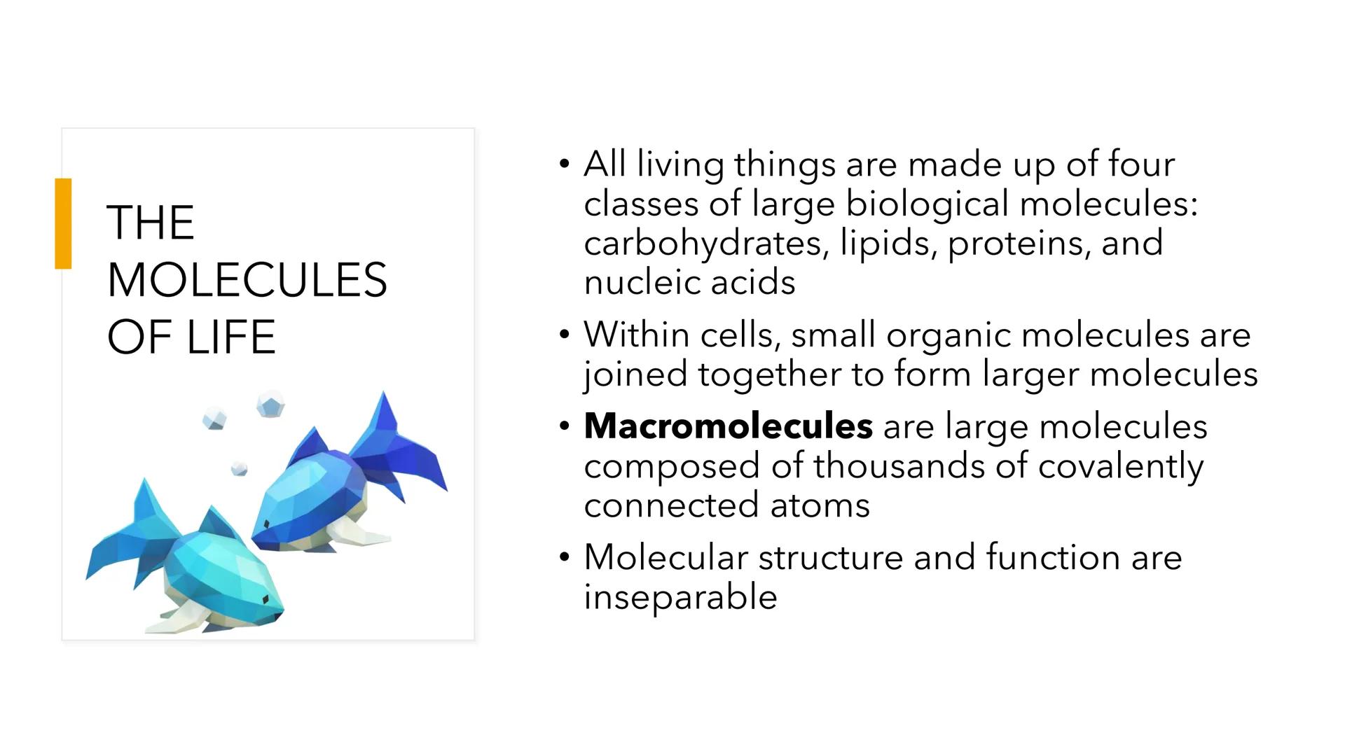# NAT S113:
GENERAL
BIOLOGY

MIDTERMS WEEK 1 # BIOLOGICAL MOLECULES # Lesson Objectives

- Be able to recognize the roles of carbon in the m
