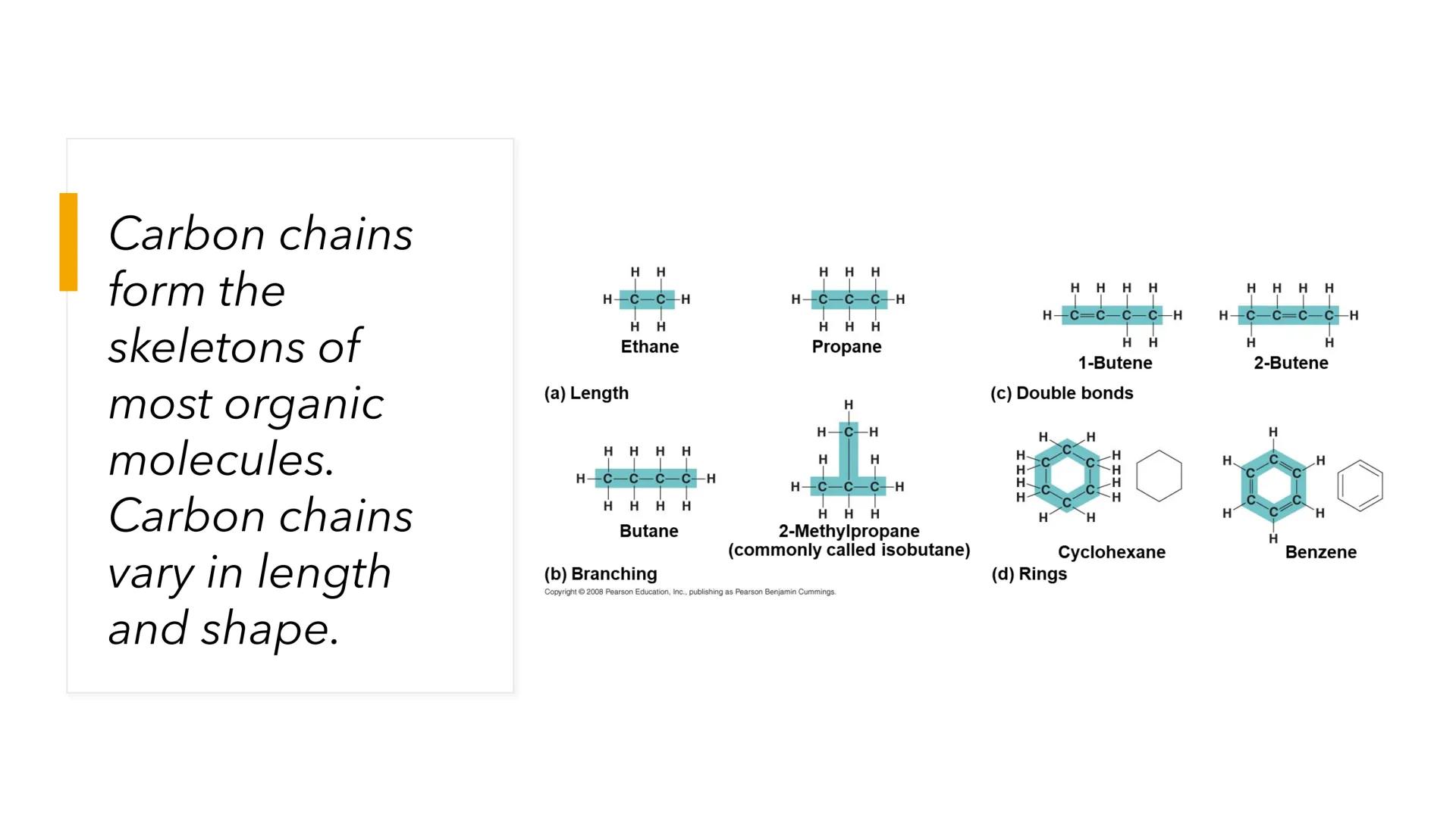 # NAT S113:
GENERAL
BIOLOGY

MIDTERMS WEEK 1 # BIOLOGICAL MOLECULES # Lesson Objectives

- Be able to recognize the roles of carbon in the m