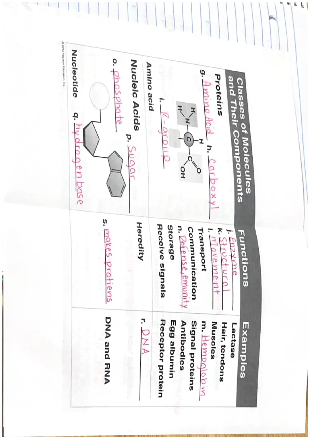Title
Vocab
Important info

The chemical basis of Life:
Chapter 2

FYI How are chemistry and Biology importent related?

FY) Why is chemistr