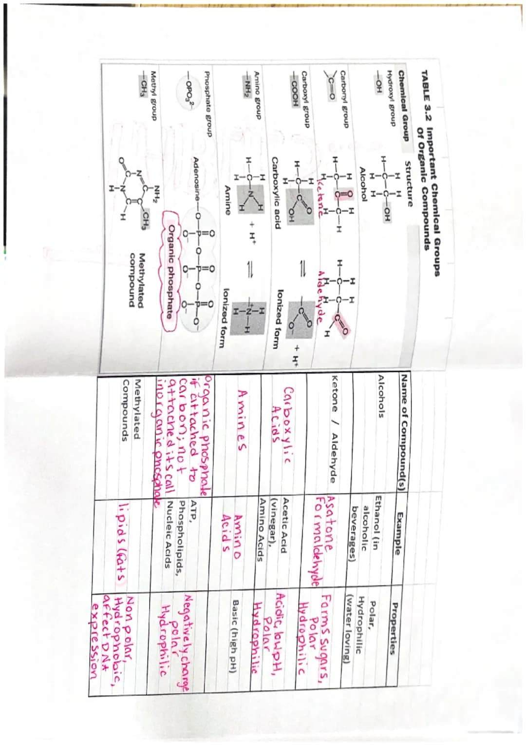 Title
Vocab
Important info

The chemical basis of Life:
Chapter 2

FYI How are chemistry and Biology importent related?

FY) Why is chemistr