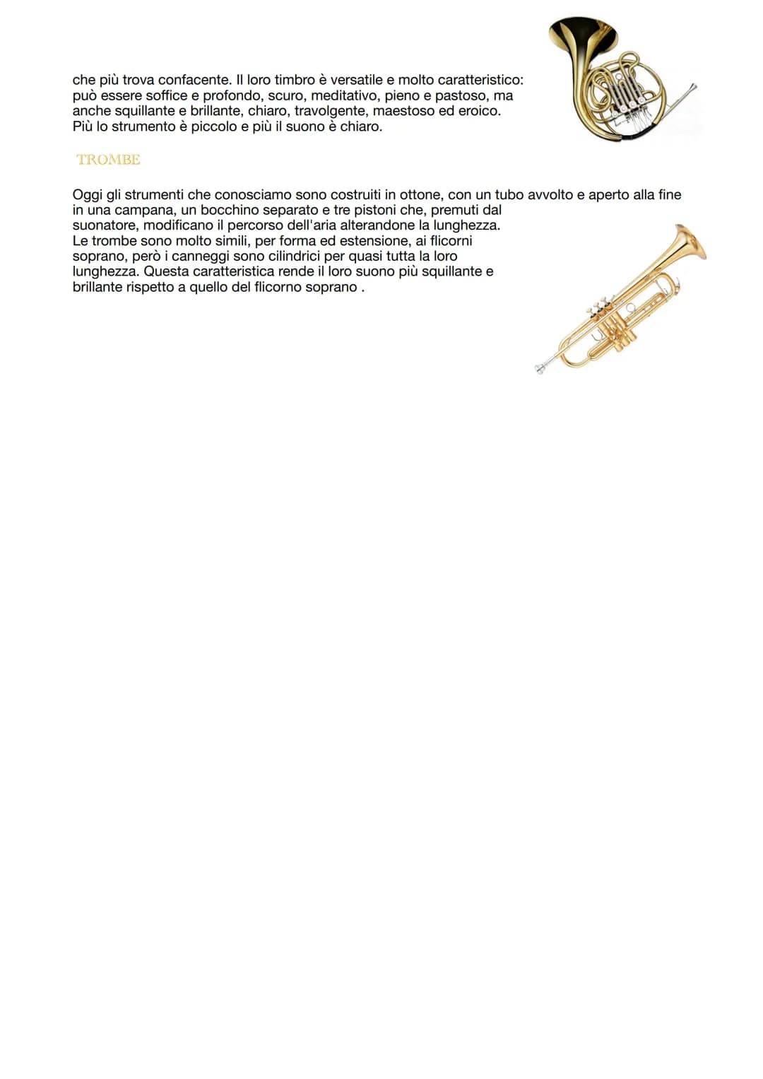 # AEROFONI

## LEGNI E OTTONI

Gli strumenti a fiato sono detti aerofoni perché producono il suono mettendo in vibrazione l'aria
stessa, nel