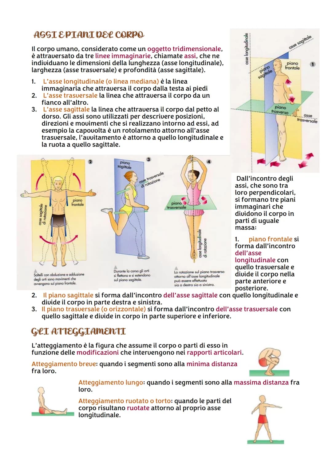 # SCIENZE MOTORIE

## LA TERMINOLOGIA IN SCIENZE MOTORIE

La conoscenza della terminologia di base è utile per conoscere meglio il proprio c
