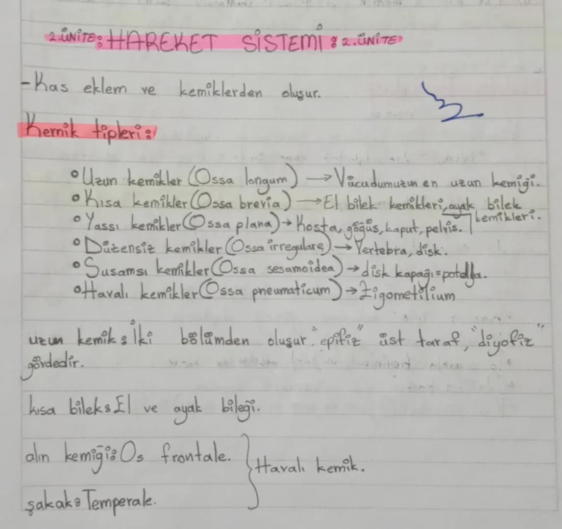 2. UNITE: HAREKET SİSTEMİ 82. ÜNİTE
-Kas eklem
ve
kemiklerden oluşur.
Kemik tipleri:
。
。
luzun en uzun
•Uzun kemikler (Ossa longum) Vücudumu