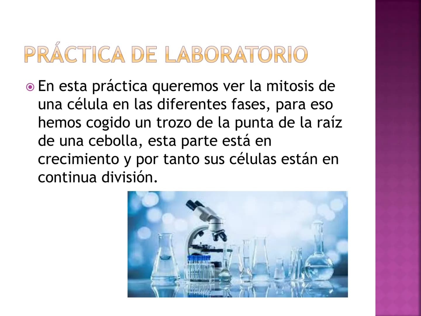 # PRÁCTICA DE
# MITOSIS # ¿QUÉ ES LA MITOSIS?

*   Proceso por el cual una sola célula parental
se divide para producir dos células hijas.
C