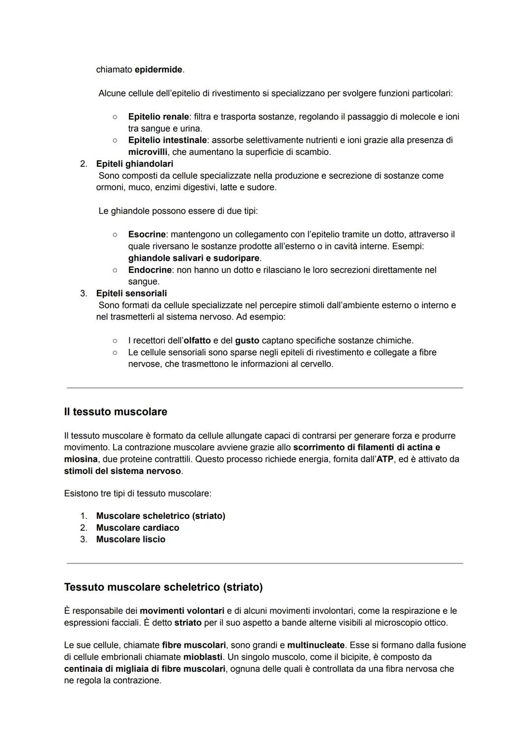 Il corpo umano deriva dallo sviluppo di una singola cellula diploide, lo zigote, che si divide più volte,
generando cellule che si differenz