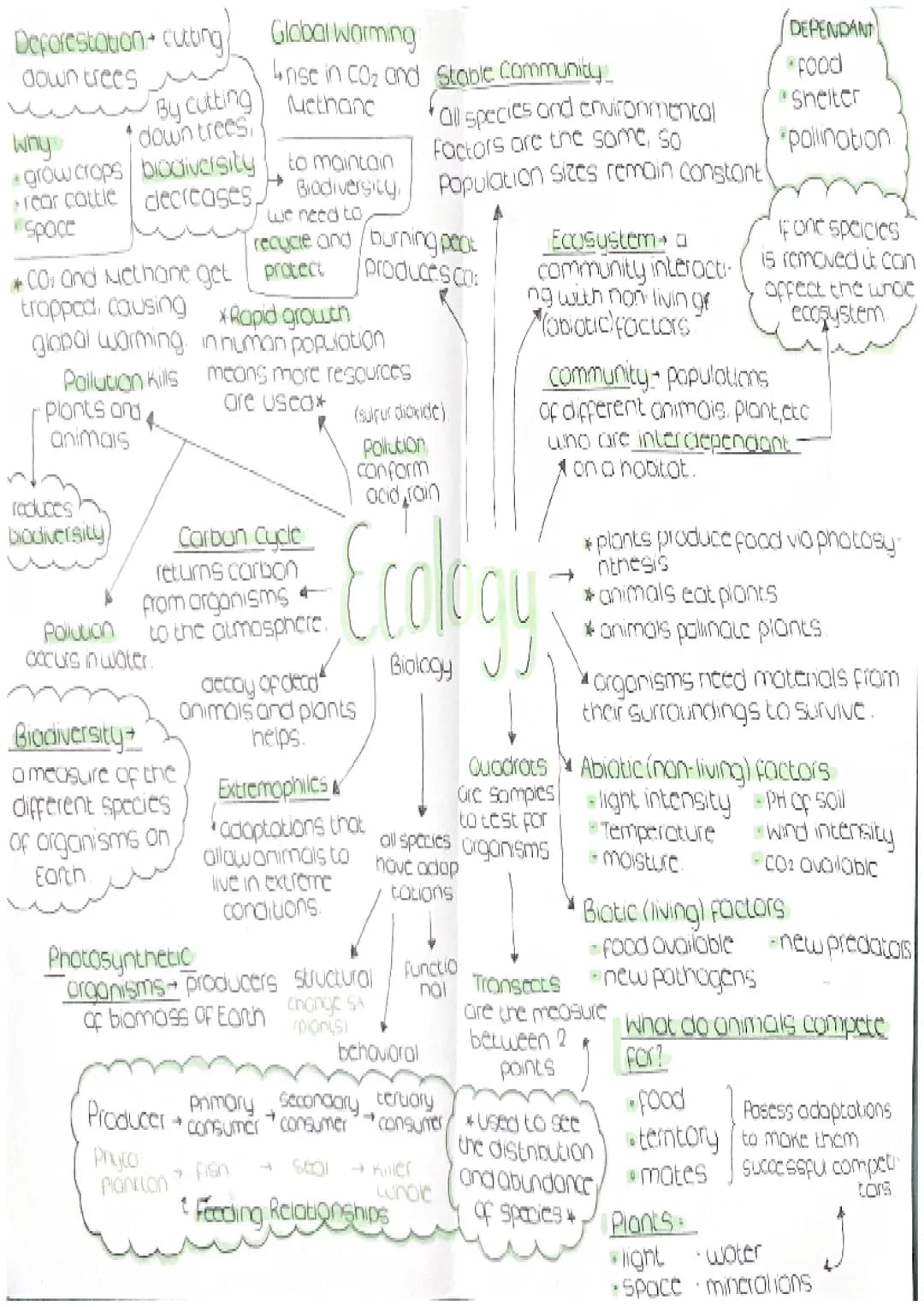Deforestation cutting Global Warming
down trees
Irise in co₂ and Stable Community
DEPENDANT
food
By cutting Methane
why
down trees,
fall spe