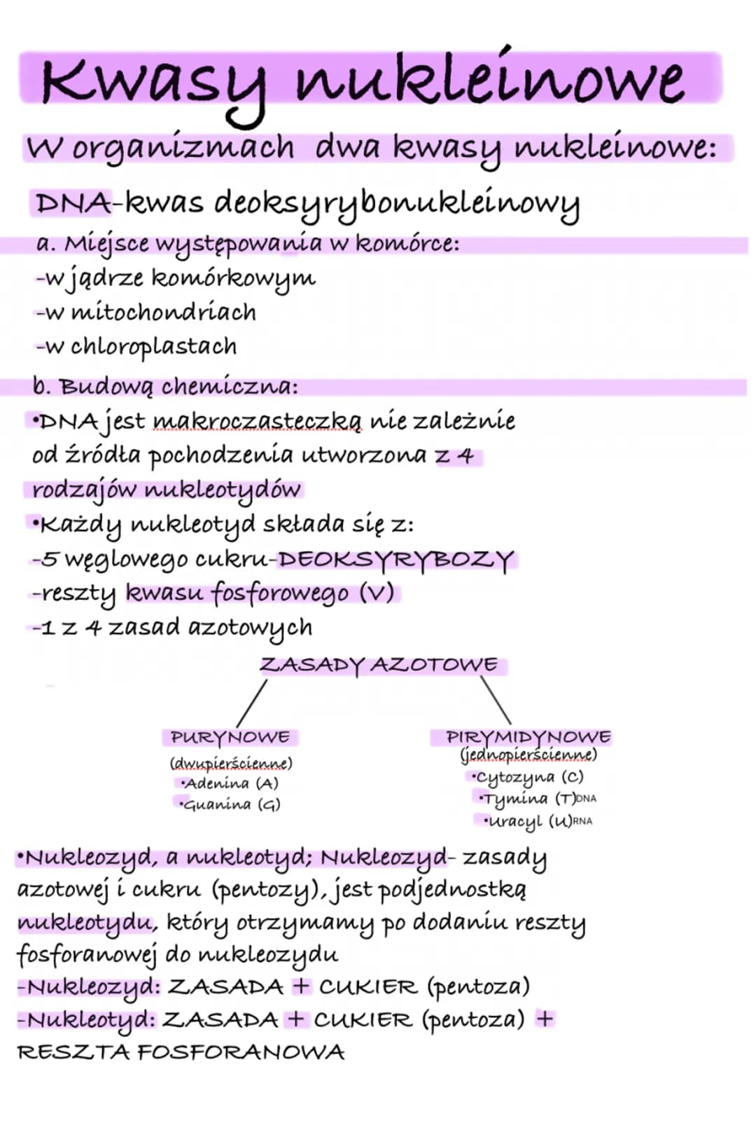 # Kwasy nukleinowe

Worganizmach dwa kwasy nukleinowe:

DNA-kwas deoksyrybonukleinowy

a. Miejsce występowania w komórce:

-wjądrze komórkow