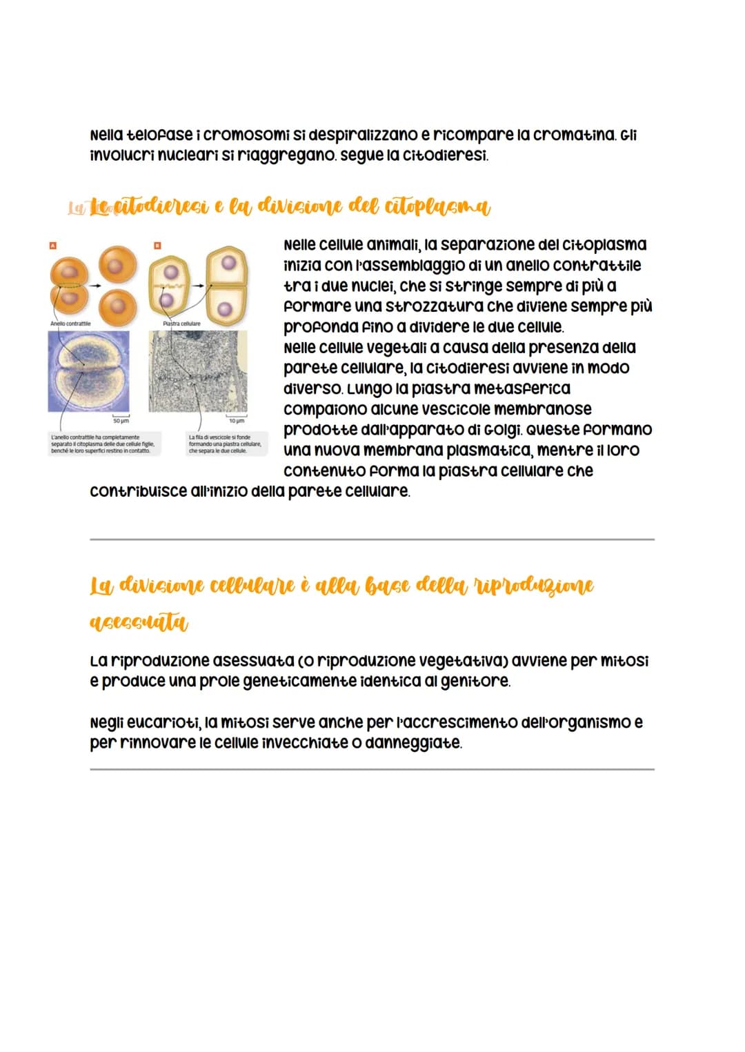 # La divisione cellulare

La divisione cellulare

negli eucarioti può essere

avviene per

scissione binaria
nei procarioti
LEZIONE 1

asess