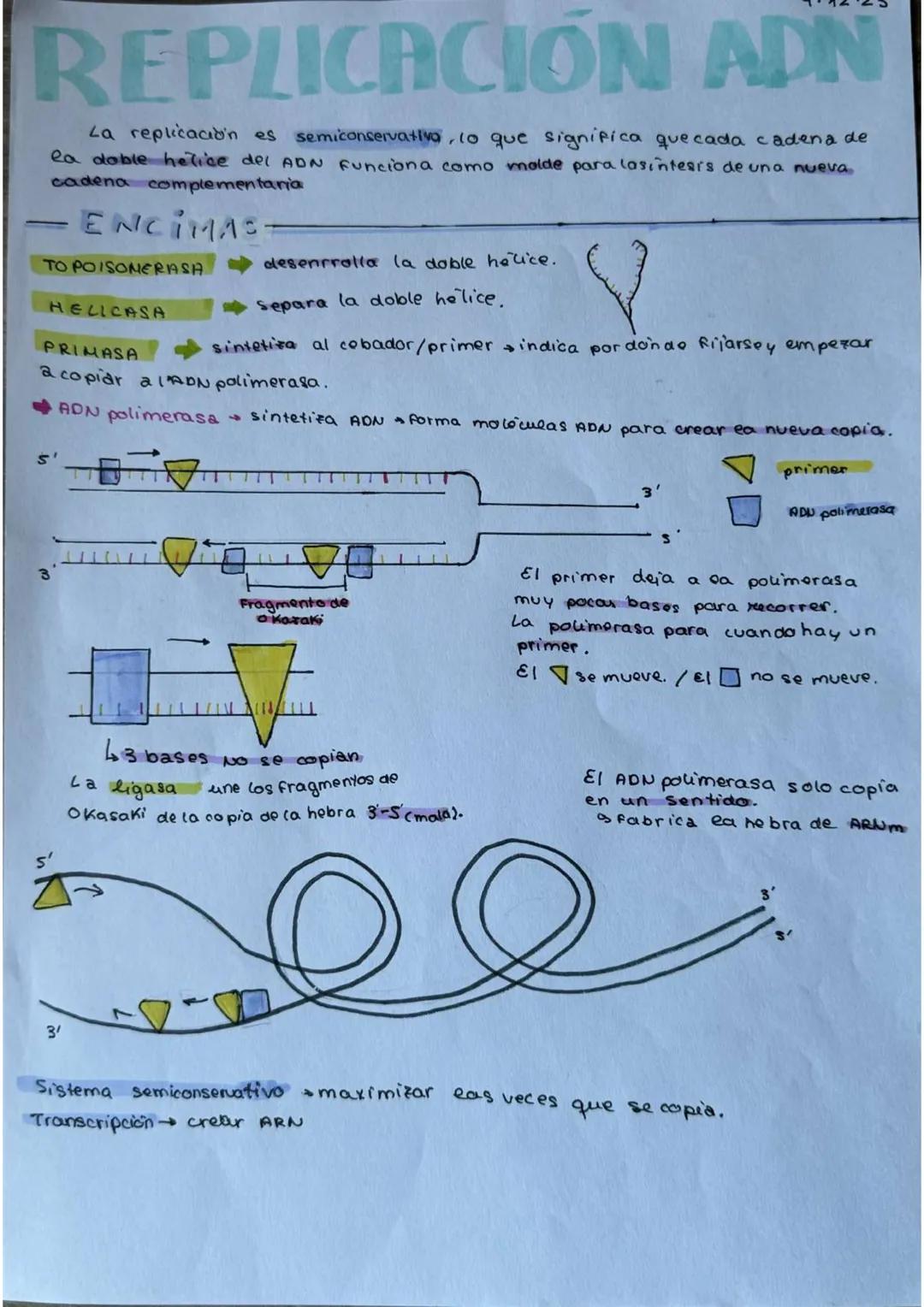 # Biologia videcaatavi
y mutaciones

TRANSCRIPCIÓN

ADN

ATCG

ARN

AUCG

TRADUCCION

PROTEINA

20 amino acidos
+
19.93bases N.

TRIPLETE

X