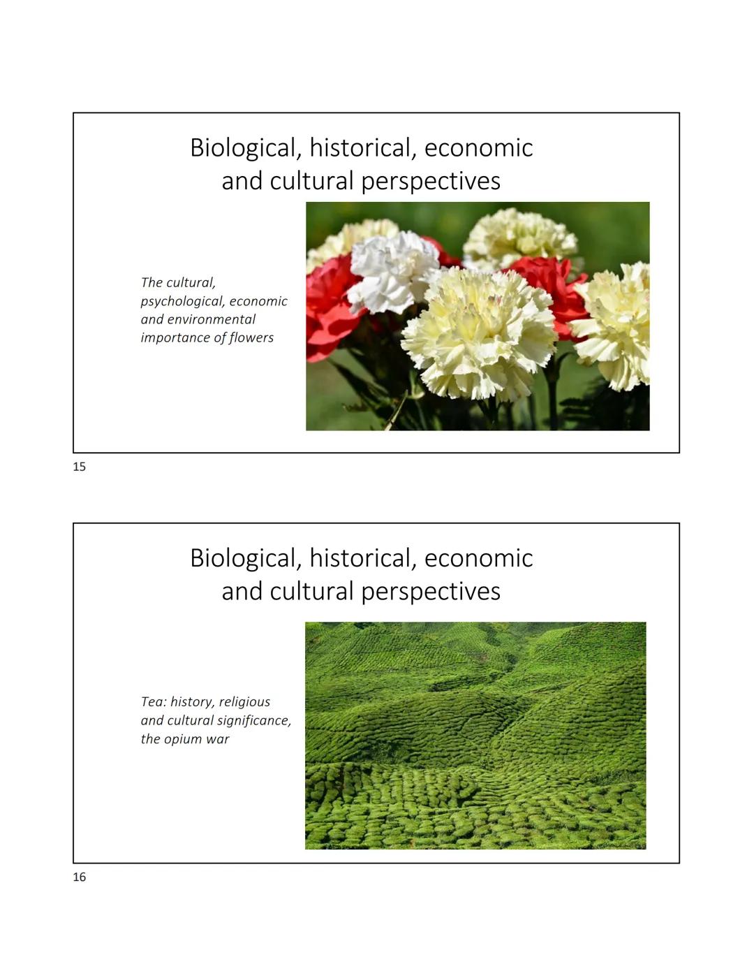 1
2
# Plants and Civilizations - Lecture 1

Important! This course is at (or very near) capacity. I can't override when the class is
full. I