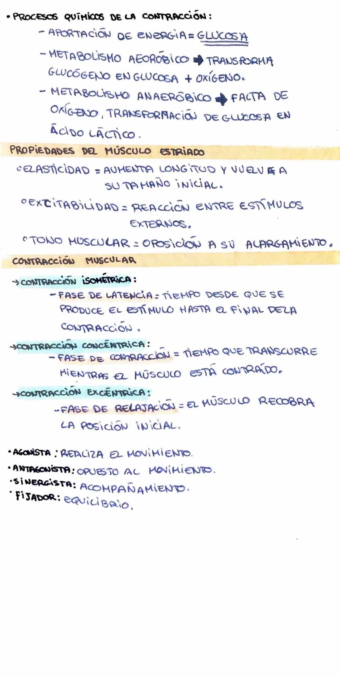 # LOS MÚSCULOS

ORGANO FORMADO POR TEJIDO MUSCULAR,

PERMITE HOVIMIENTO DE LOS HUESOS

CEL·LULA MUSCULAR = FIBRA MUSCULAR.

ACCIÓN DEL MUSCU