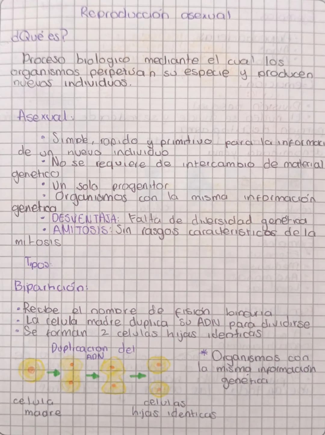 Reproducción asexual

¿Qué es?
Proceso biologico mediante el cual los
organismos perpetuan su especie y producen
nuevas individuos.

Asexual