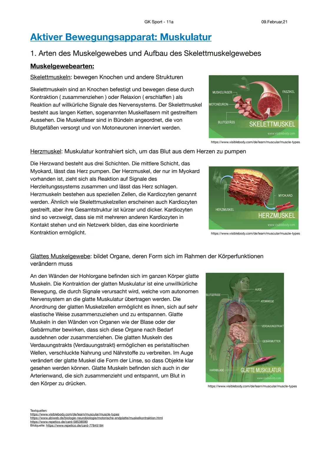 GK Sport - 11a

Aktiver Bewegungsapparat: Muskulatur

1. Arten des Muskelgewebes und Aufbau des Skelettmuskelgewebes

Muskelgewebearten:

Sk