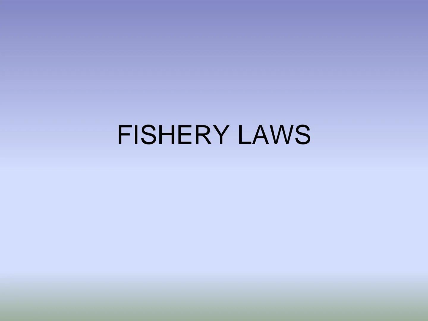 # FISHERY LAWS # HIERARCHY OF LAWS

THE PHILIPPINE CONSTITUTION

National laws and International
Treaties/Agreements (e.g. Acts, Commonwealt