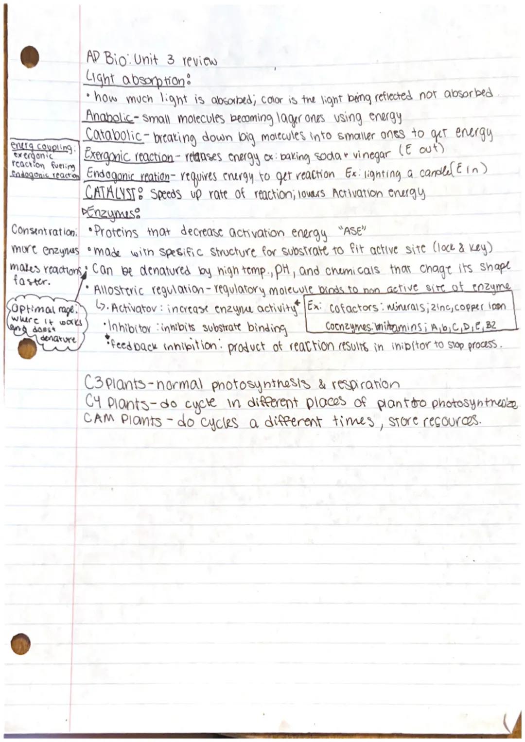 AP Bio: Unit 3 Review

Autotroph- producers; store chemicals to make carb food molecules
Heterotrophs-Consumers; consume producers for energ
