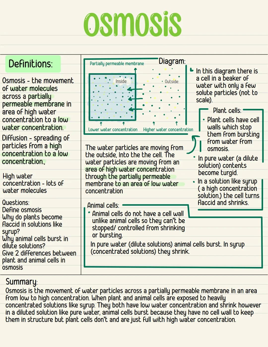 Definitions:
Osmosis the movement
of water molecules
across a partially
permeable membrane in
area of high water
concentration to a low
wate