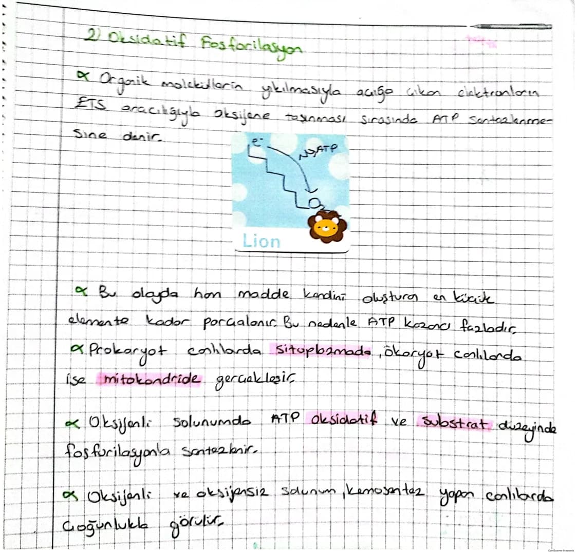 # Biyoloji

CANLILARDA ENERJİ DÖNÜŞÜMÜ

Metabolizma.

Canlılarda gerçekleşen hayatsol faoliyetlere
mataboliema denir

Anaboliamal Hücrede ge