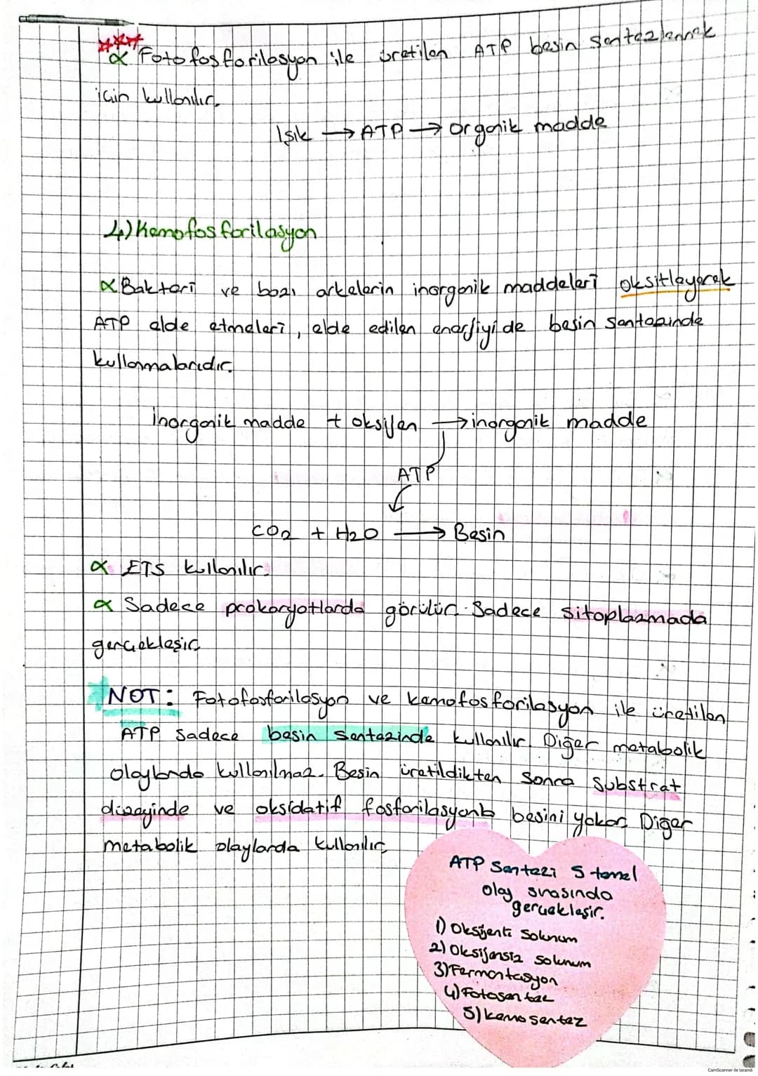 # Biyoloji

CANLILARDA ENERJİ DÖNÜŞÜMÜ

Metabolizma.

Canlılarda gerçekleşen hayatsol faoliyetlere
mataboliema denir

Anaboliamal Hücrede ge