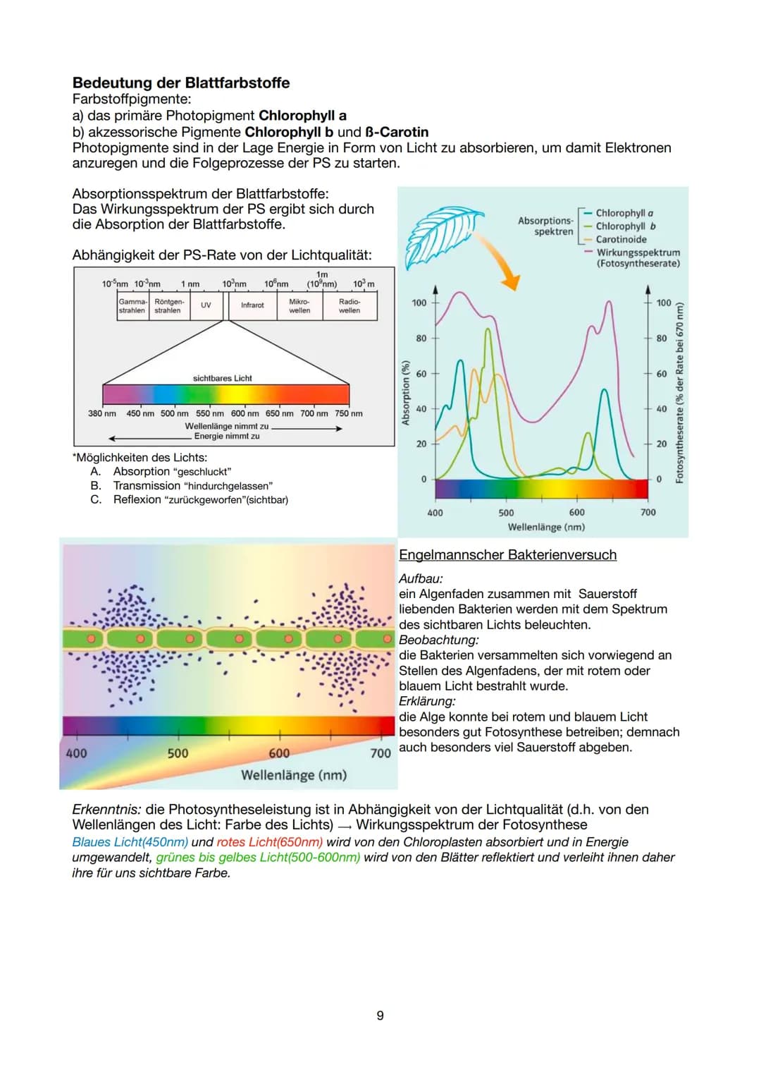 # Biologie Lernzettel 13/1 KA-1
LPE 5: STOFF- UND ENERGIEBEREITSTELLUNG

Der Stoff- und Energiewechsel ist die Aufnahme von Stoffen und Ener