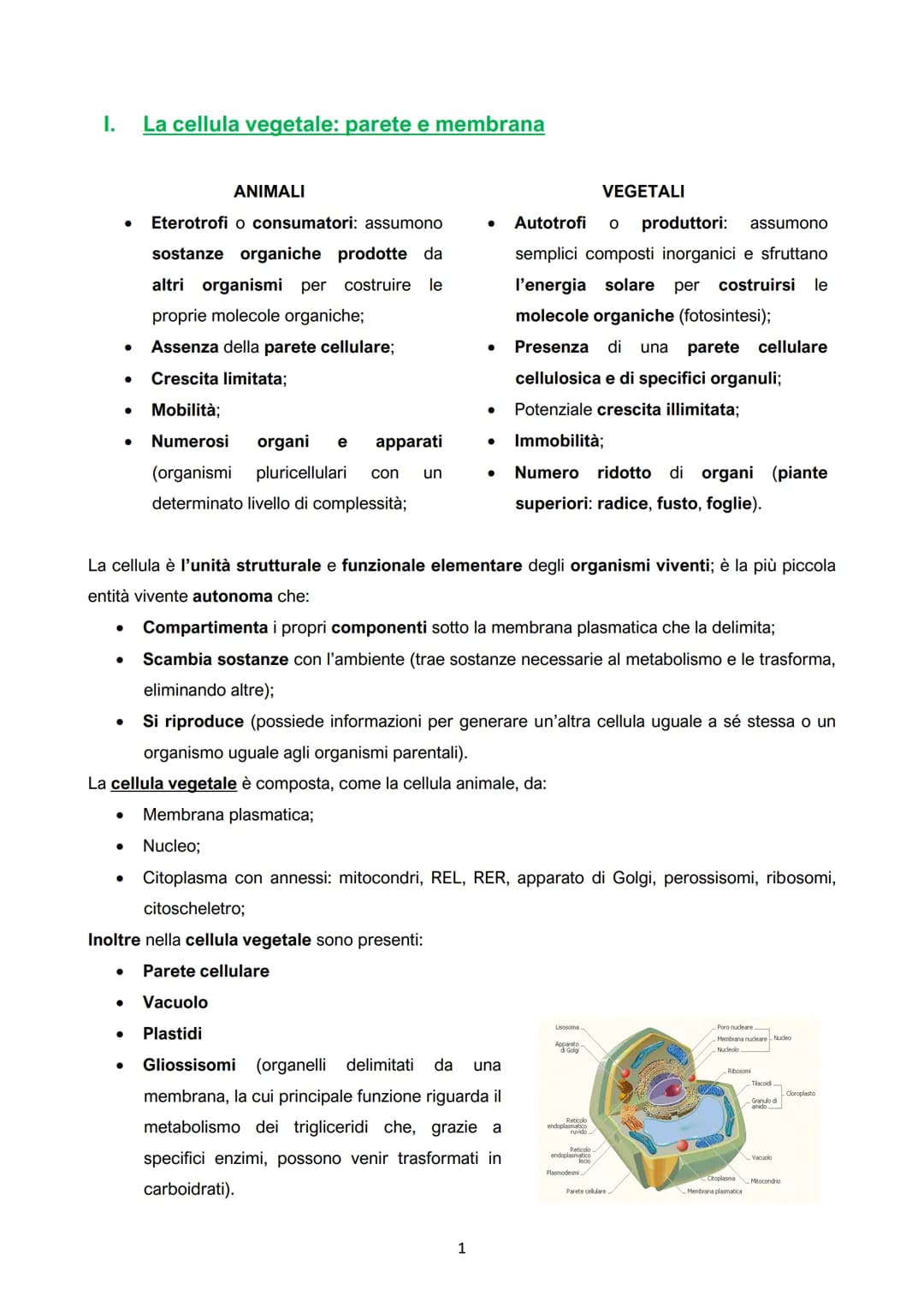I. La cellula vegetale: parete e membrana

ANIMALI
- Eterotrofi o consumatori: assumono
sostanze organiche prodotte da
altri organismi per c