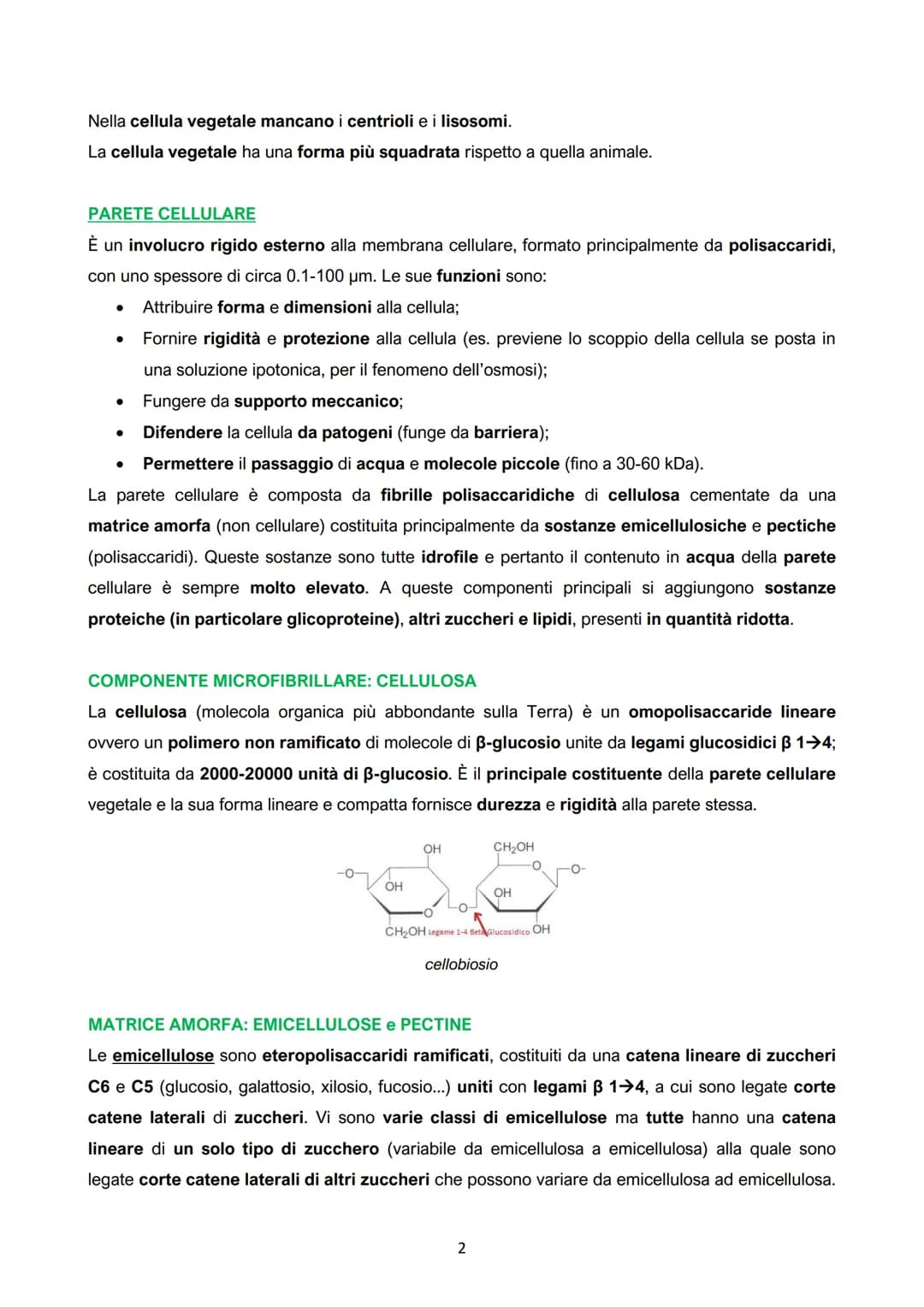 I. La cellula vegetale: parete e membrana

ANIMALI
- Eterotrofi o consumatori: assumono
sostanze organiche prodotte da
altri organismi per c