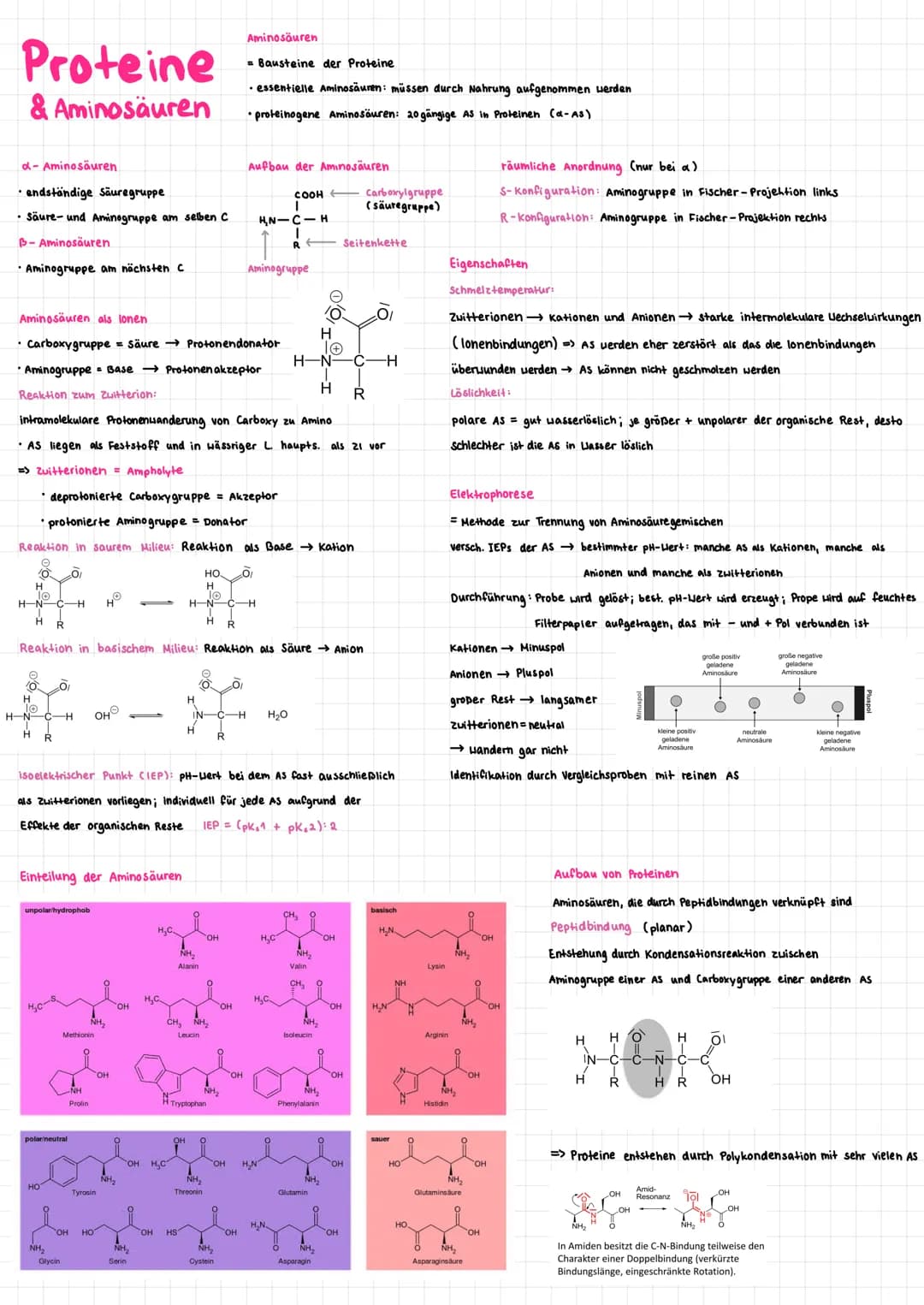 # Proteine
& Aminosäuren

d-Aminosäuren
*   endständige Säuregruppe
*   Säure- und Aminogruppe am selben C

B-Aminosäuren
*   Aminogruppe am