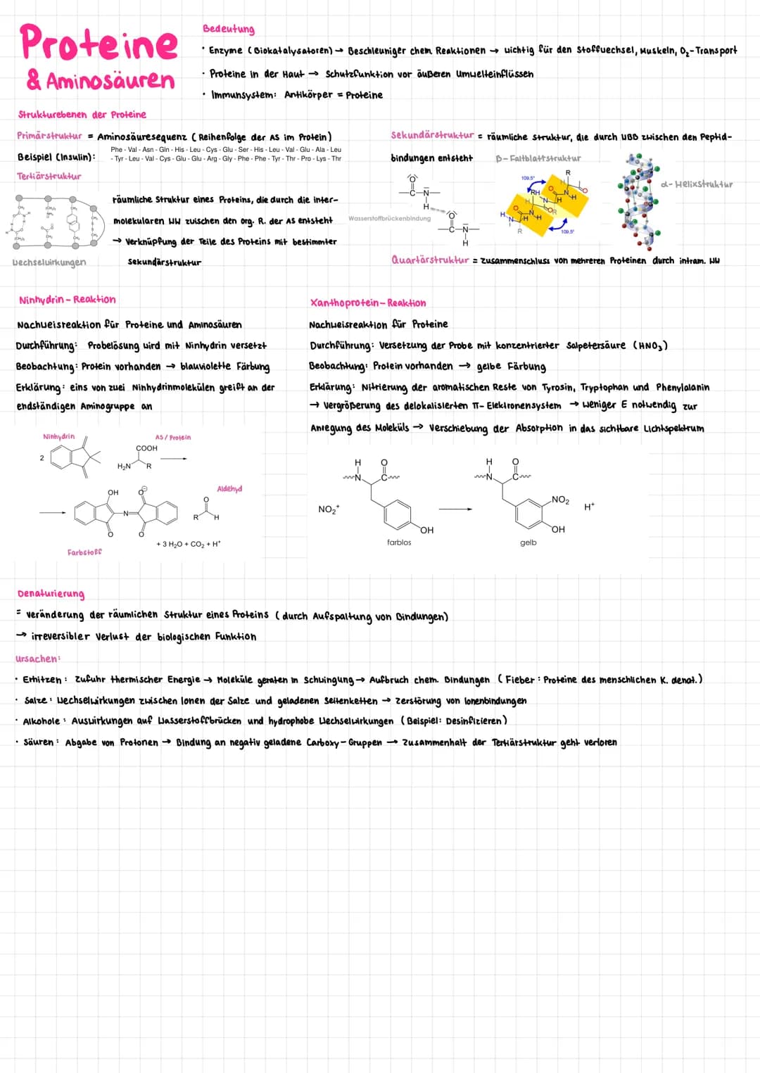 # Proteine
& Aminosäuren

d-Aminosäuren
*   endständige Säuregruppe
*   Säure- und Aminogruppe am selben C

B-Aminosäuren
*   Aminogruppe am