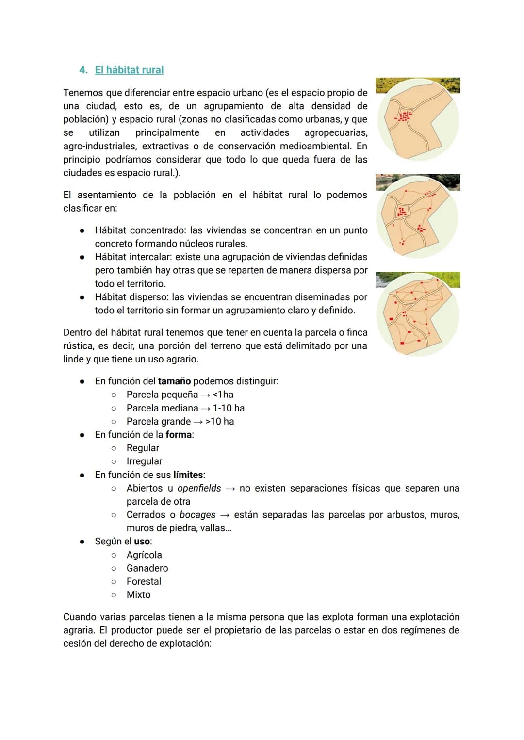 # UD 7. El sector primario: agricultura, ganadería y pesca

1. El sector primario

Este sector comprende todas aquellas actividades que perm