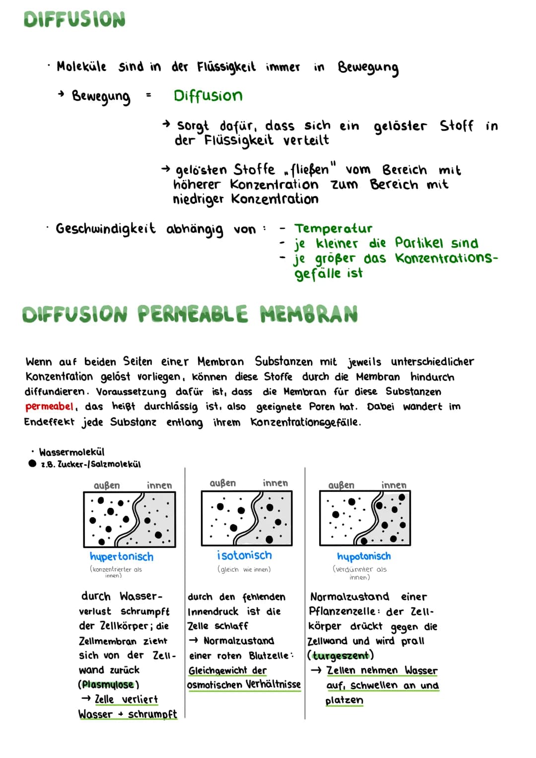 # BIOLOGIE KLAUSUR 18. MARZ

# DIE BIOMEMBRAN & TRANSPORTVORGANGE

Proteinschicht

Lipidschicht

Proteinschicht

integrale Proteine

Hydroph