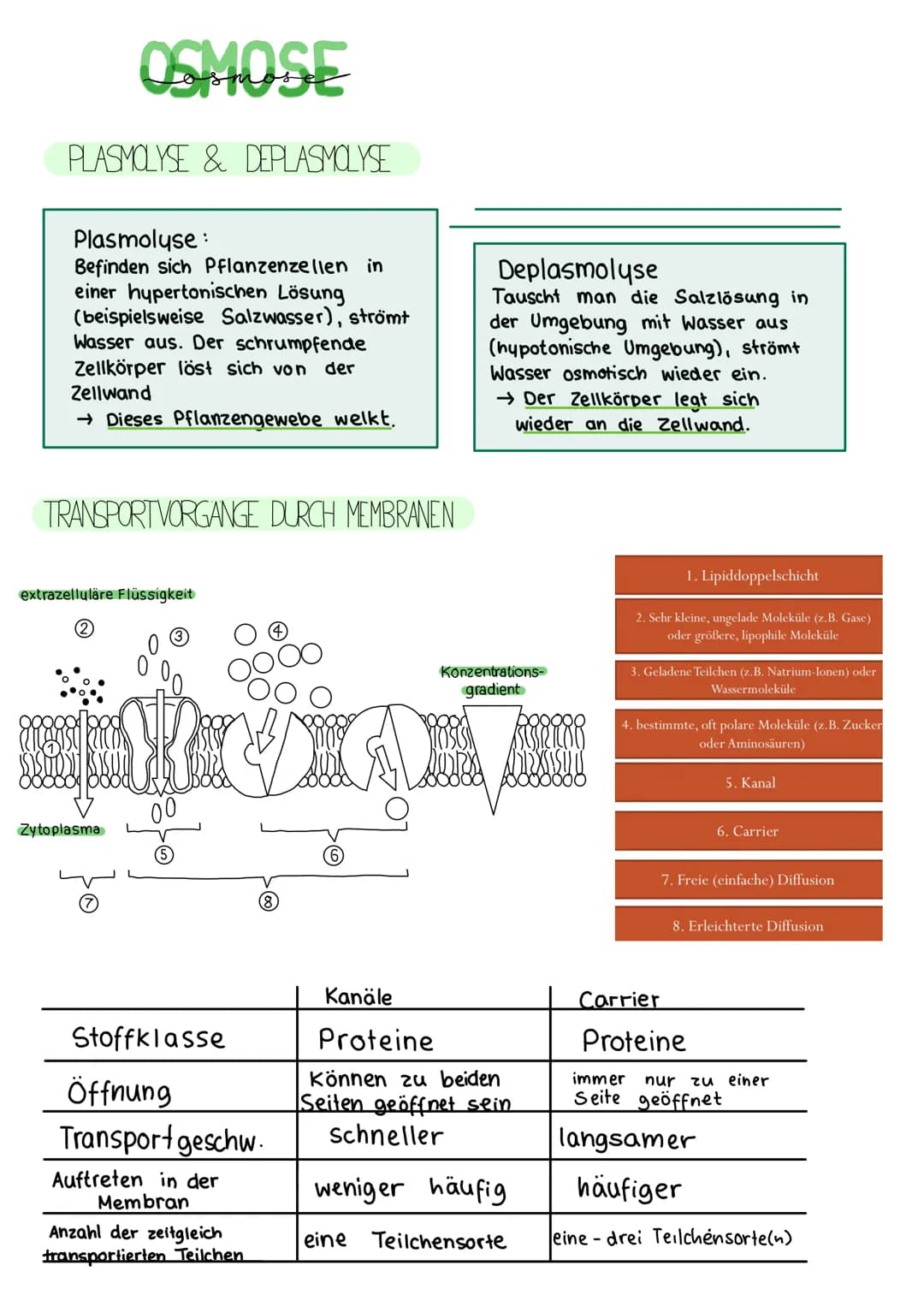 # BIOLOGIE KLAUSUR 18. MARZ

# DIE BIOMEMBRAN & TRANSPORTVORGANGE

Proteinschicht

Lipidschicht

Proteinschicht

integrale Proteine

Hydroph