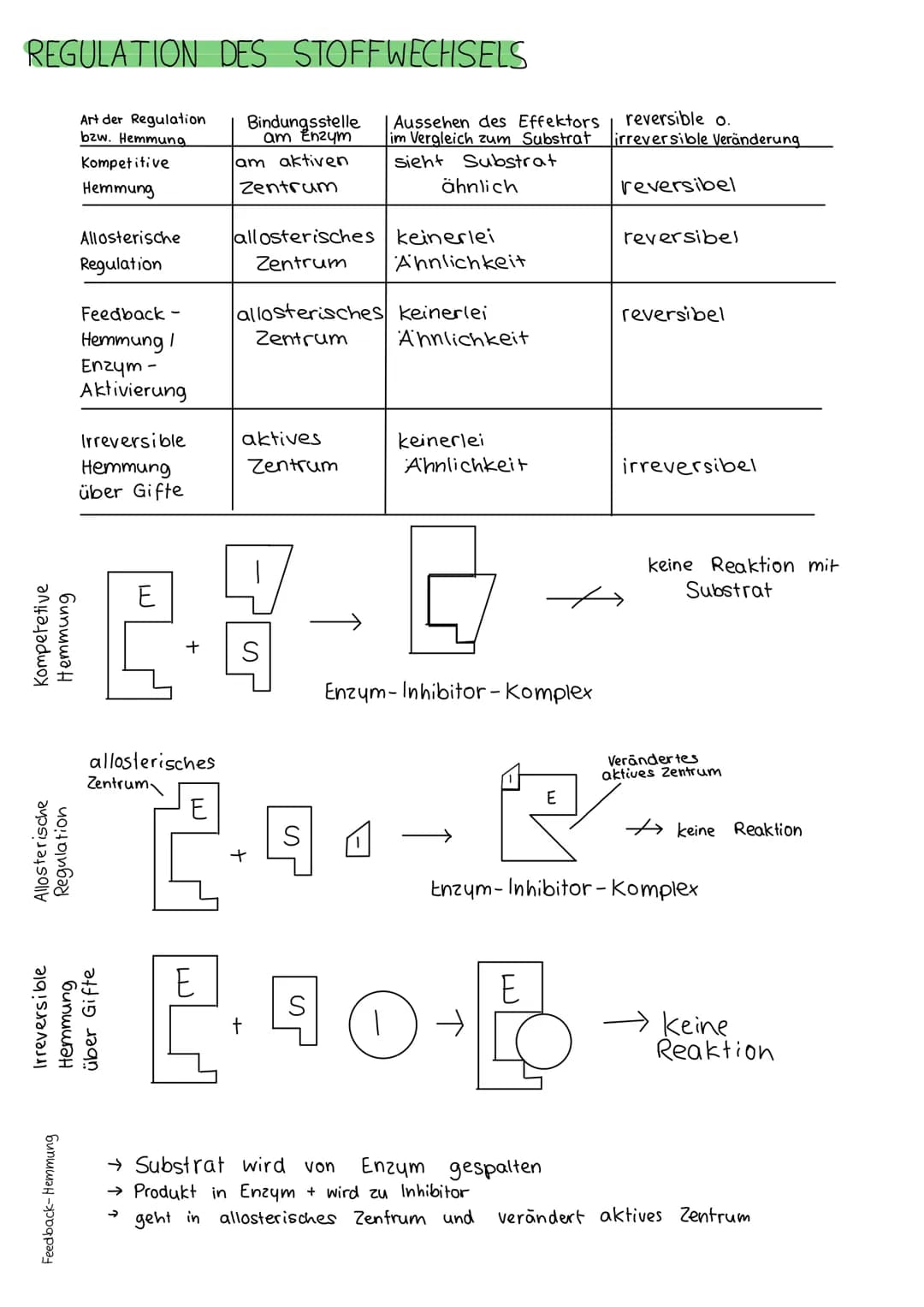 # BIOLOGIE KLAUSUR 18. MARZ

# DIE BIOMEMBRAN & TRANSPORTVORGANGE

Proteinschicht

Lipidschicht

Proteinschicht

integrale Proteine

Hydroph