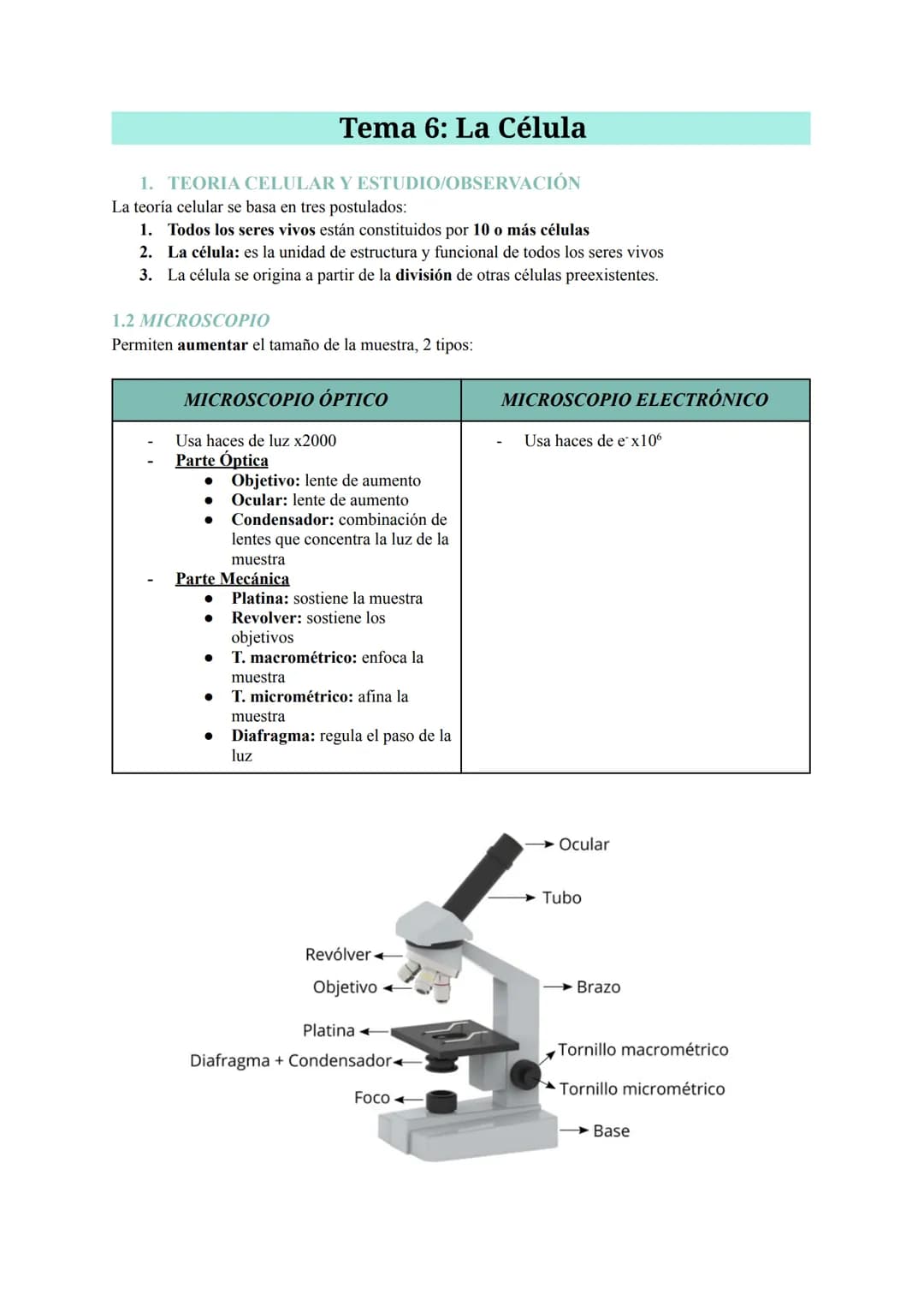 # Tema 6: La Célula

1.  TEORIA CELULAR Y ESTUDIO/OBSERVACIÓN

La teoría celular se basa en tres postulados:

1.  Todos los seres vivos está
