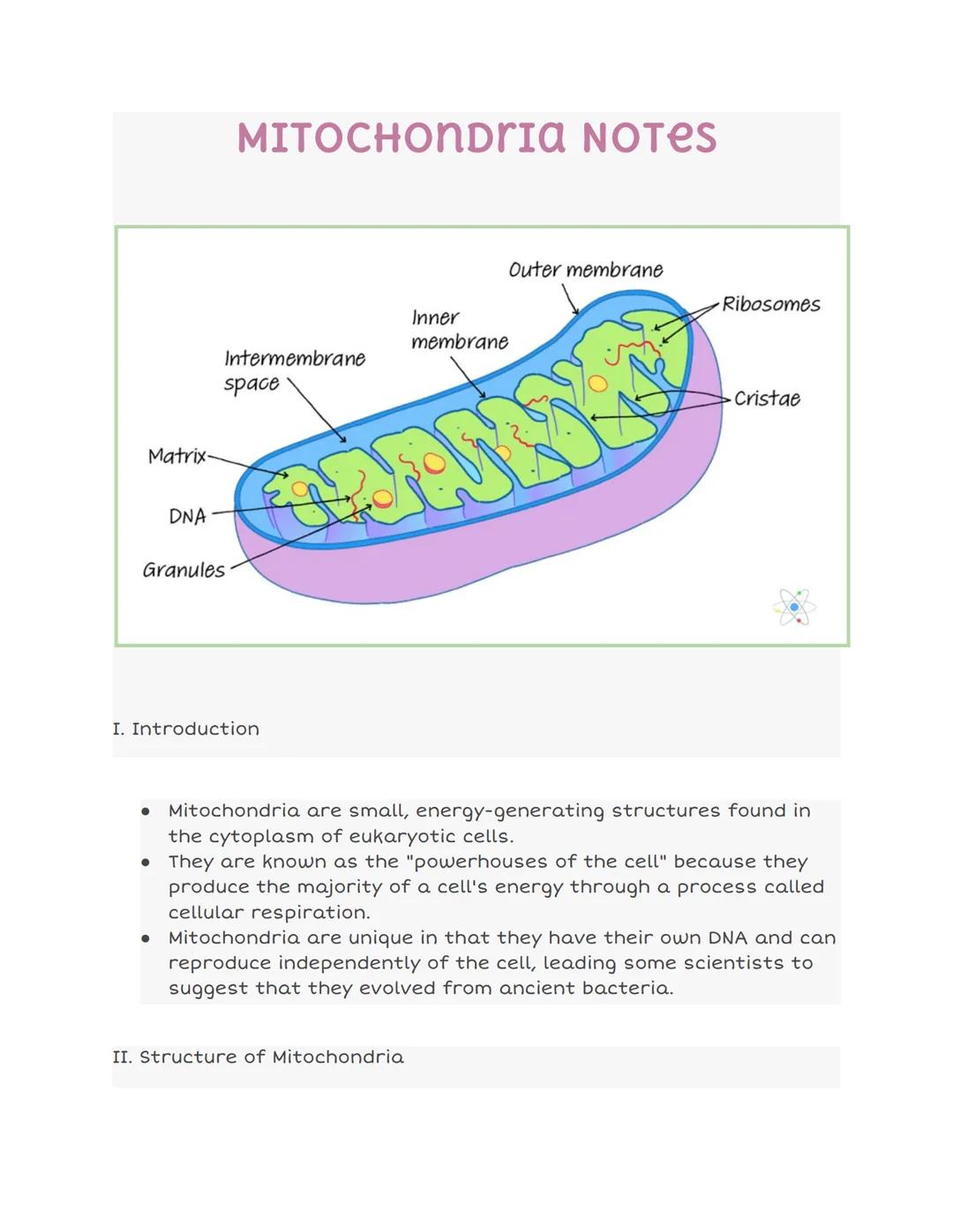 # MITOCHOndria NOTES

Outer membrane
Ribosomes
Inner
membrane
Intermembrane
space
Cristae
Matrix-
DNA
Granules

I. Introduction

*   Mitocho