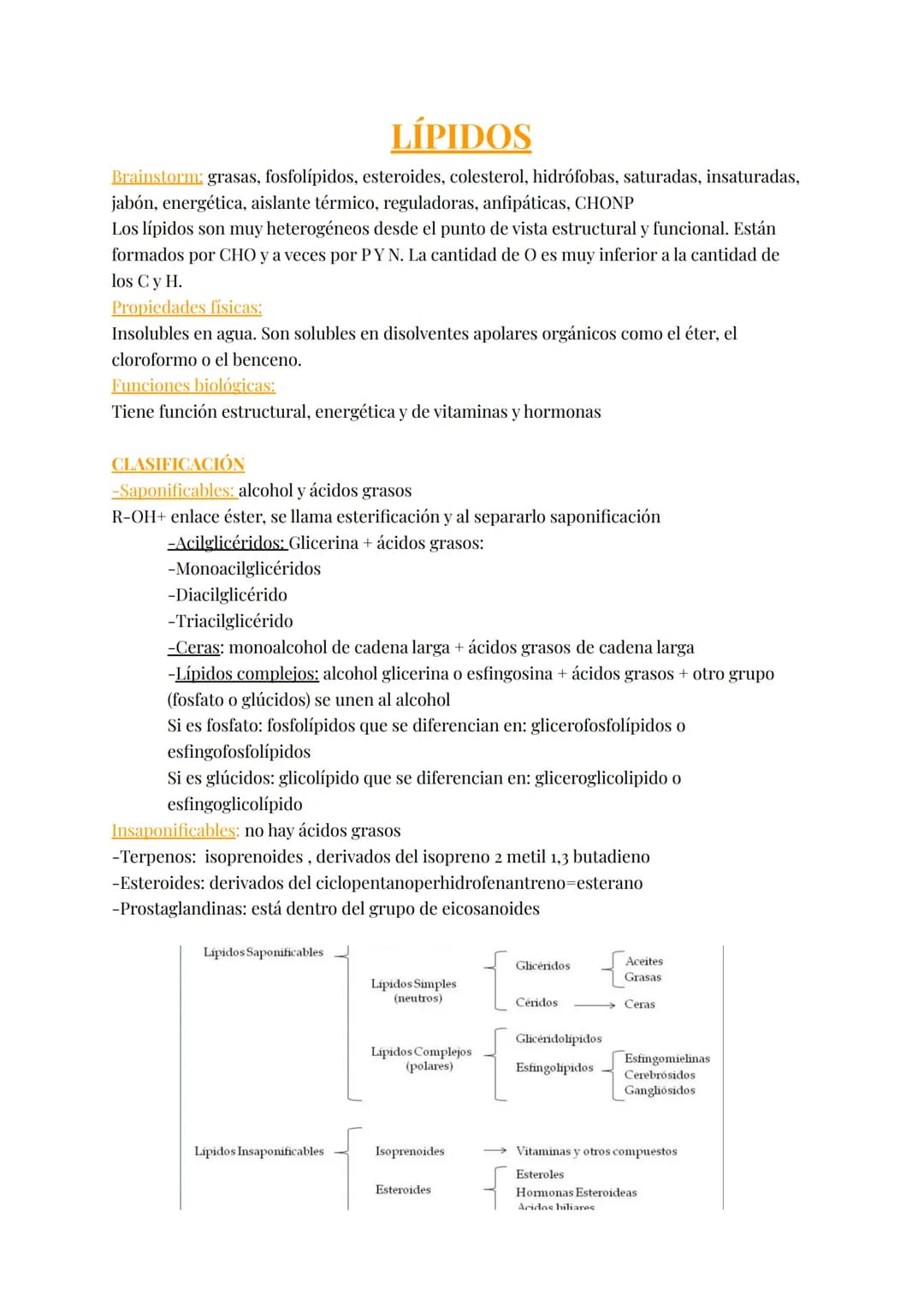# LÍPIDOS
Brainstorm; grasas, fosfolípidos, esteroides, colesterol, hidrófobas, saturadas, insaturadas,
jabón, energética, aislante térmico,