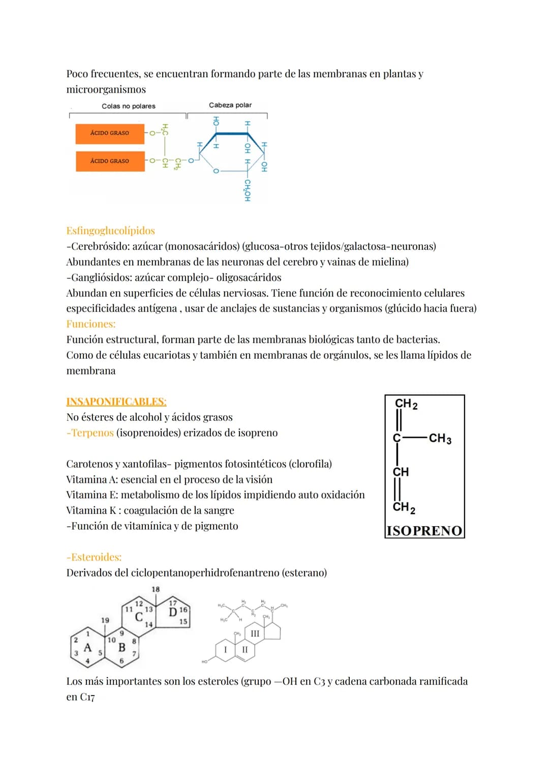 # LÍPIDOS
Brainstorm; grasas, fosfolípidos, esteroides, colesterol, hidrófobas, saturadas, insaturadas,
jabón, energética, aislante térmico,