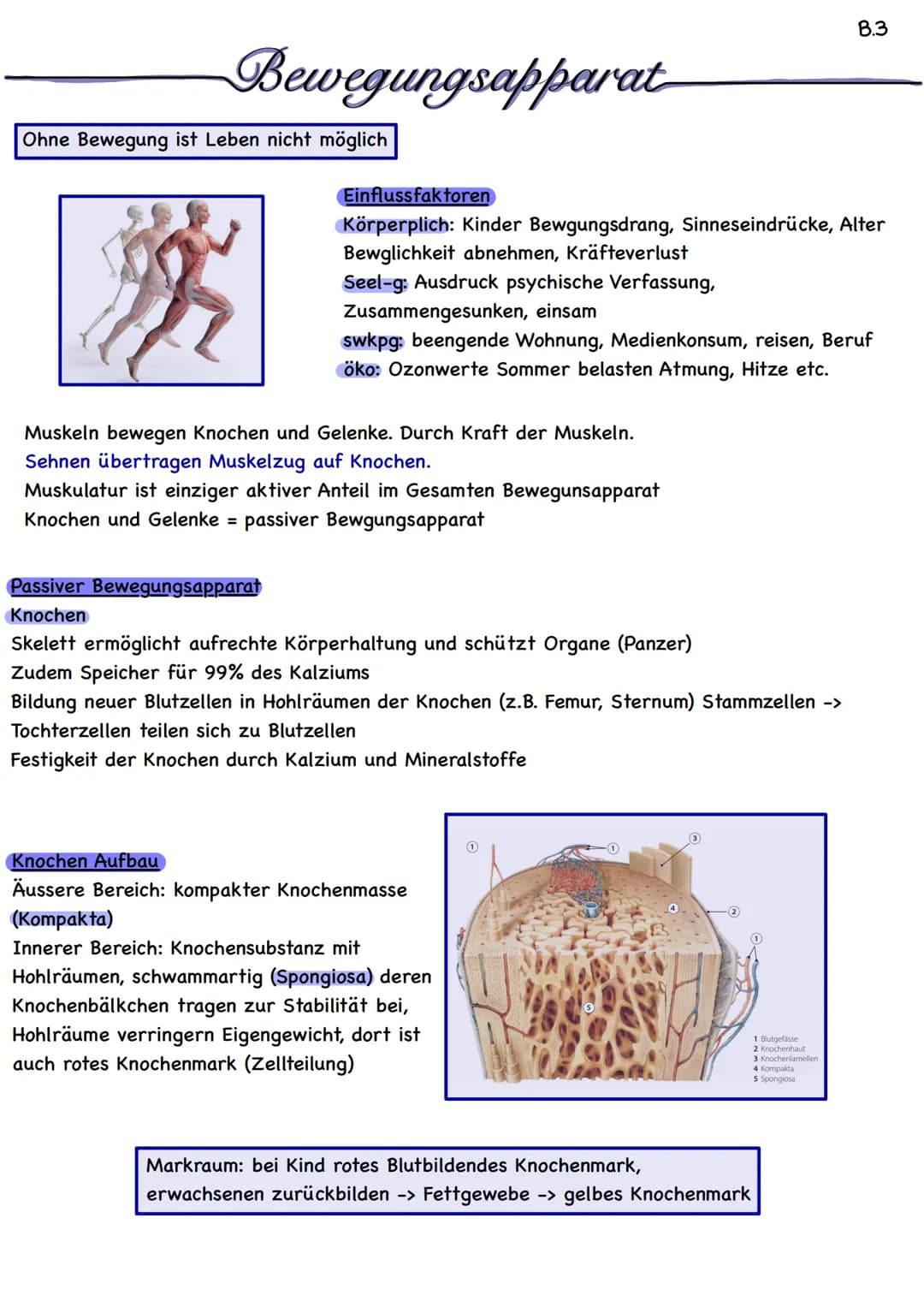 B.3
# Bewegungsapparat
Ohne Bewegung ist Leben nicht möglich

## Einflussfaktoren
Körperplich: Kinder Bewgungsdrang, Sinneseindrücke, Alter
