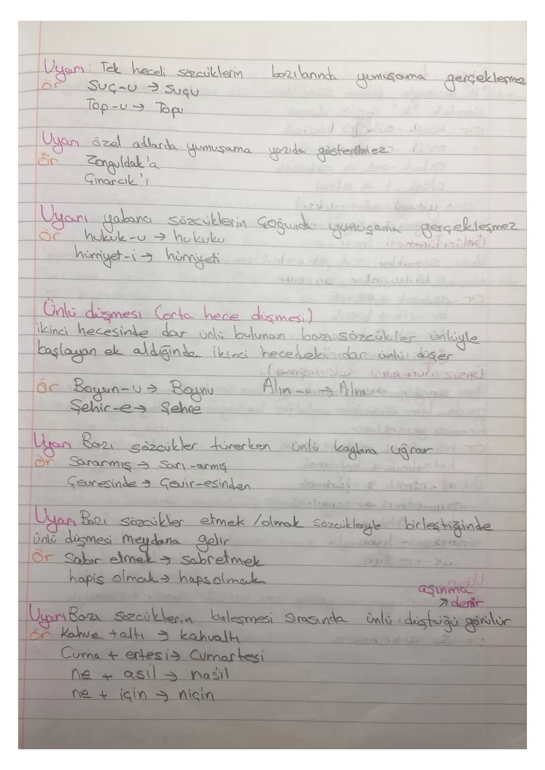 Ses Bilgisi

|       | Geniş     | Dar       |
| :---- | :---------- | :-------- |
|       | kalın ince | kalın ince |
| Düz   | a         e