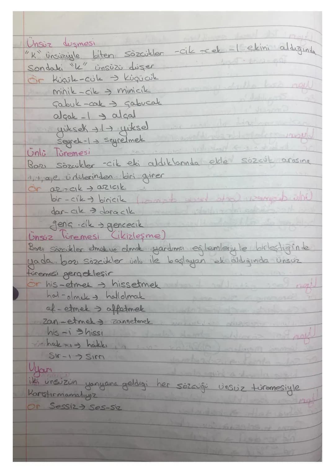 Ses Bilgisi

|       | Geniş     | Dar       |
| :---- | :---------- | :-------- |
|       | kalın ince | kalın ince |
| Düz   | a         e