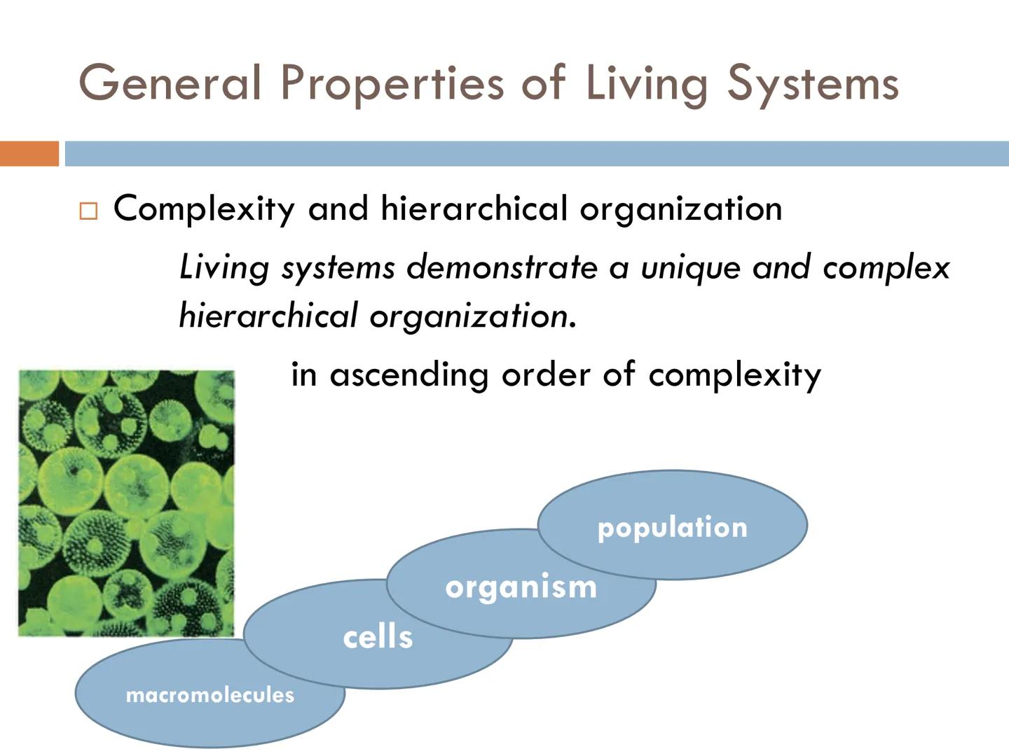FUNDAMENTALS OF
ANIMAL BIOLOGY Zoology

The scientific study of animal life

Attempt to solve the mysteries of animal life and its
origin.

