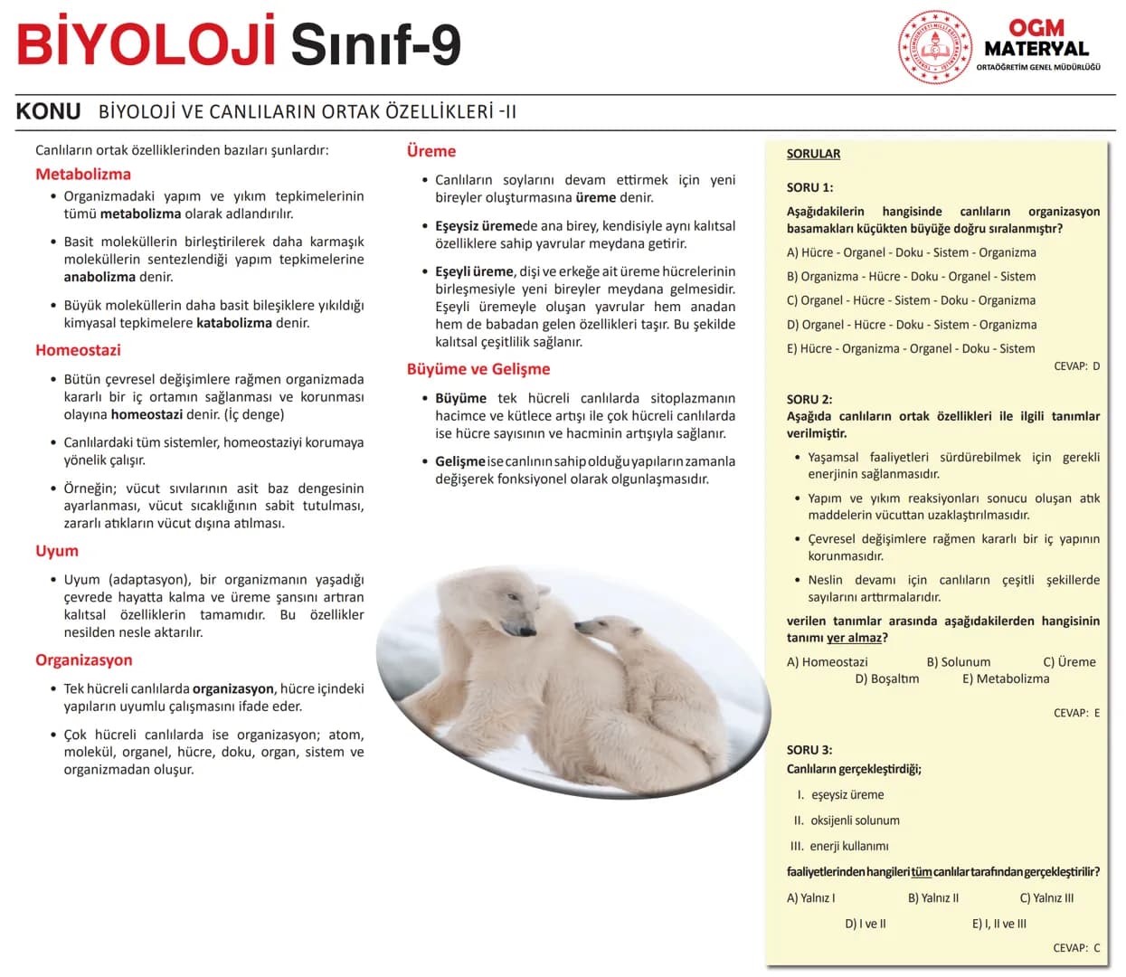 --- OCR Start ---
BİYOLOJİ Sınıf-9
KONU BİYOLOJİ VE CANLILARIN ORTAK ÖZELLİKLERİ -II
Canlıların ortak özelliklerinden bazıları şunlardır:
Me