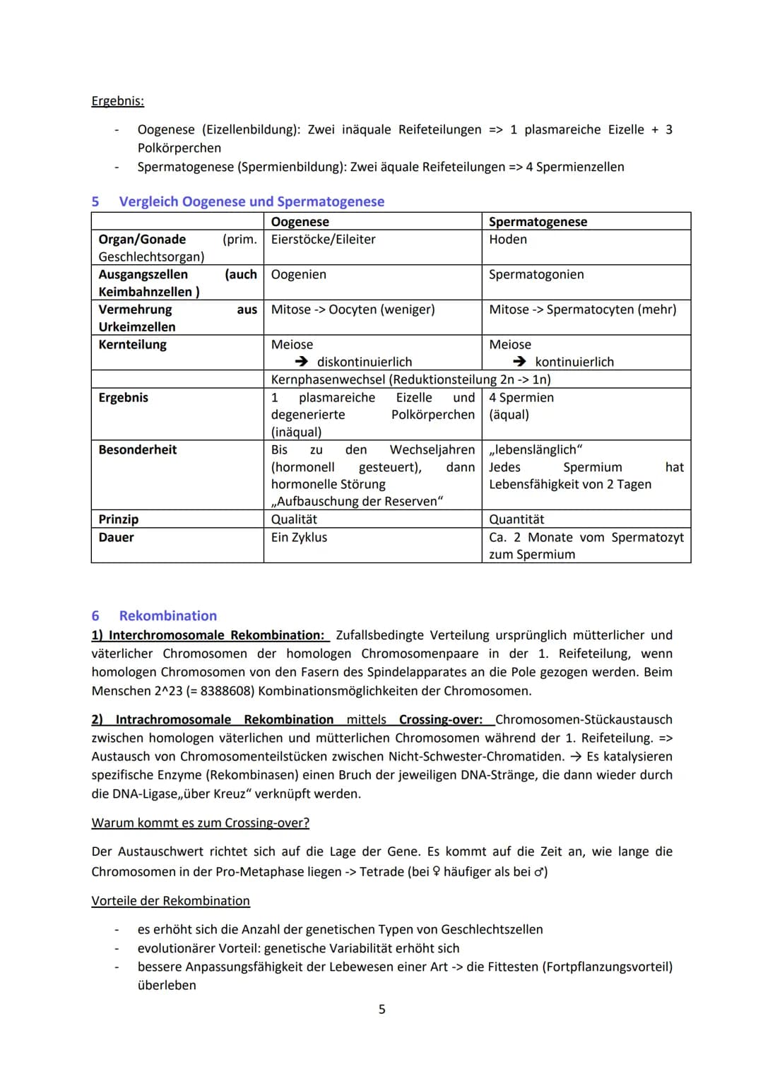 - Enthält Informationen zur Bildung von RNA (Ribonukleinsäure) → kodiert für mRNA o welche
Informationen über den Bau der Proteine besitzt
-