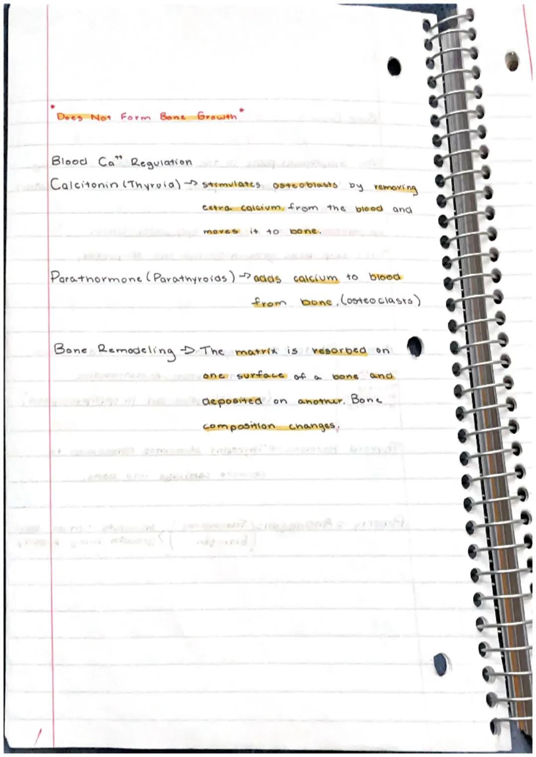 Skeletal System

Bone or Osscous Tissue $\rightarrow$ a hard, dense connective
tissue that forms most of the adult skeleton, the
Support str